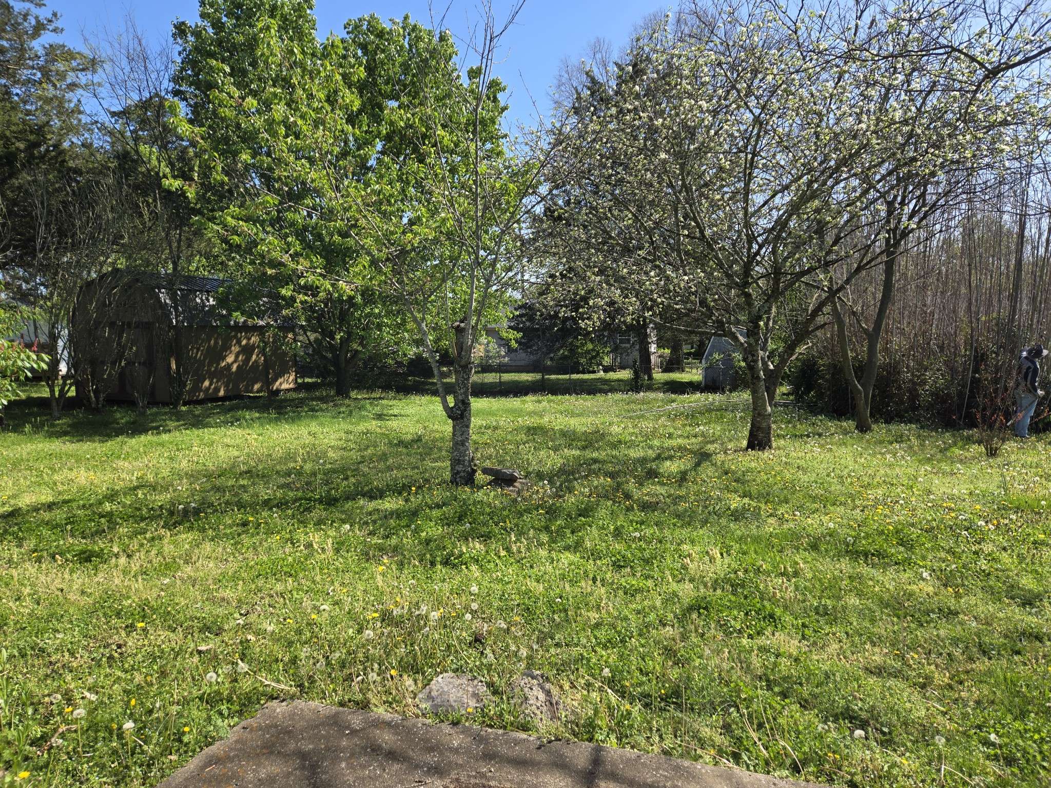 La Vergne, TN 37086,603 Hollandale Rd