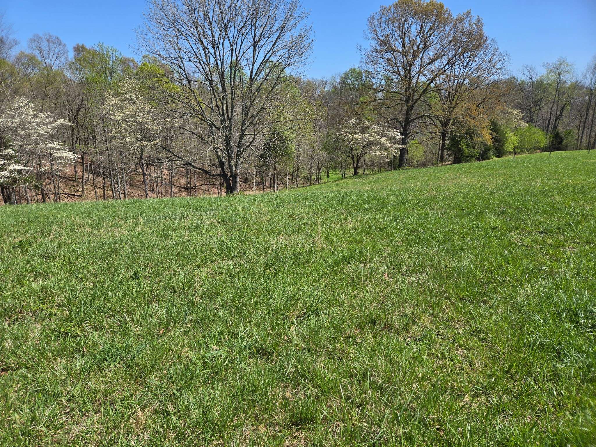 Dickson, TN 37055,0 Cowan Rd