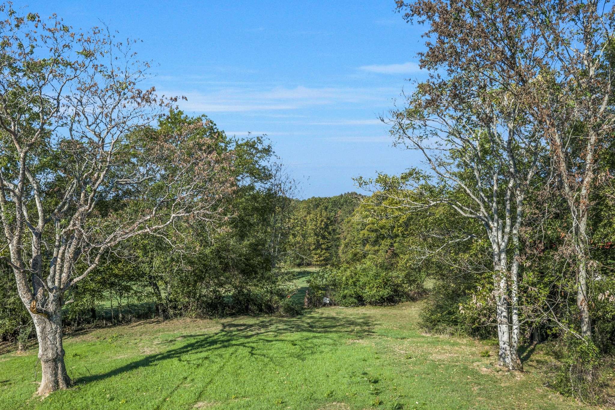 Clarksville, TN 37040,401 Attaway Road