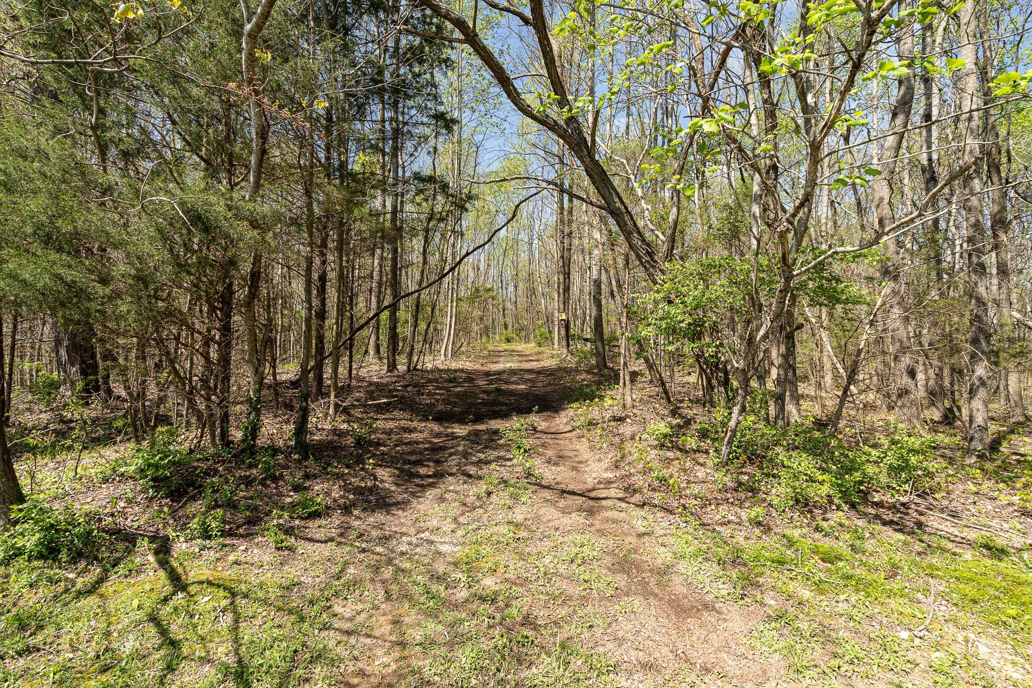 Nashville, TN 37221,8698 Poplar Creek Rd