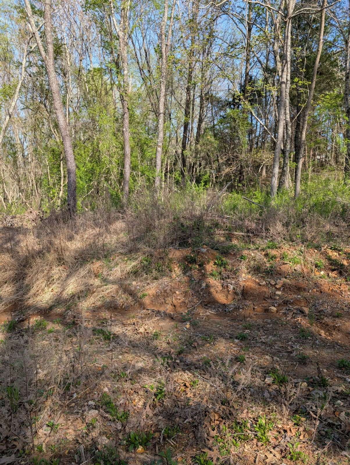 Dickson, TN 37055,0 NW Piney and S of Eno Road #NW