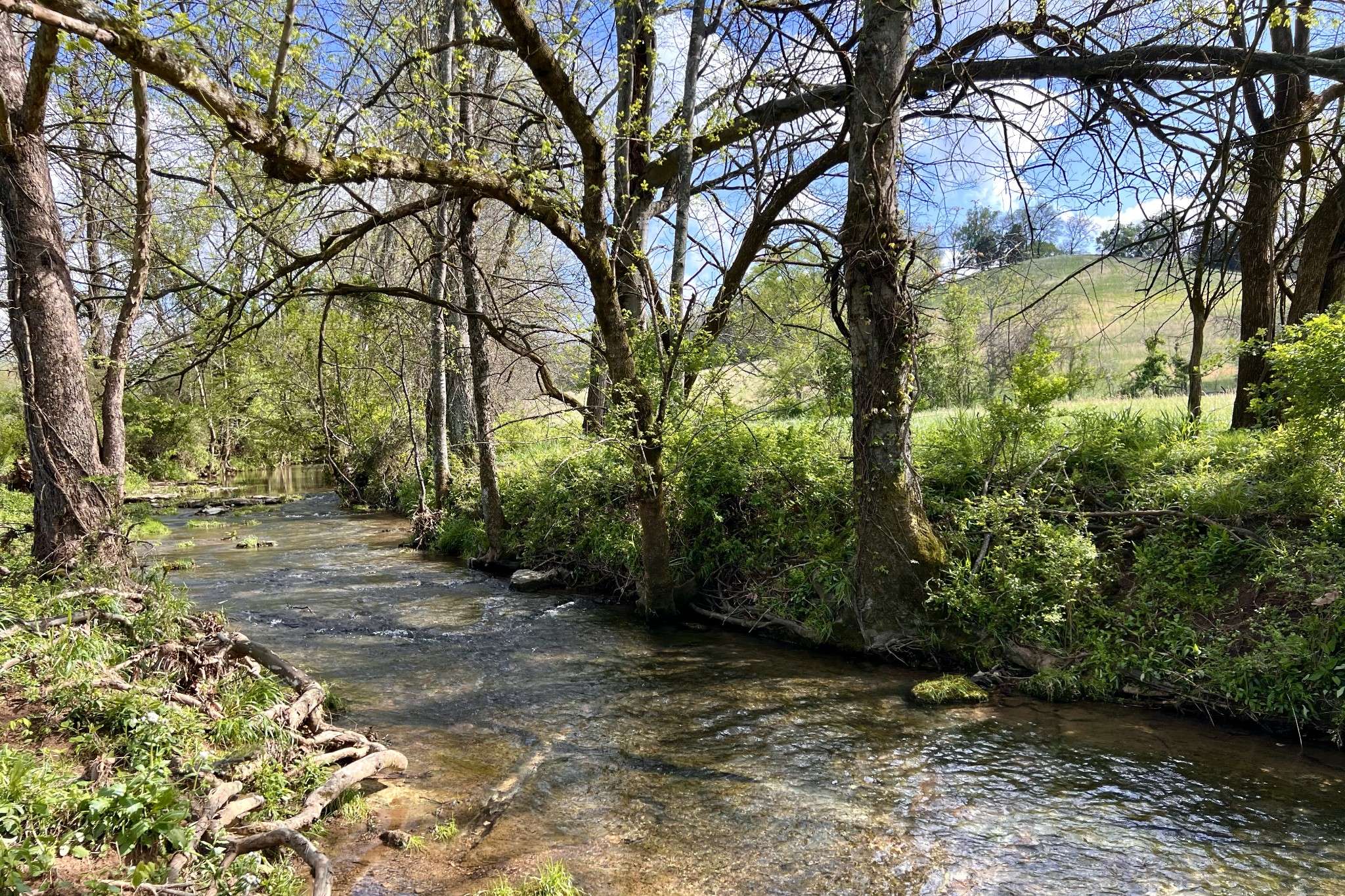 Culleoka, TN 38451,0 US HWY 31