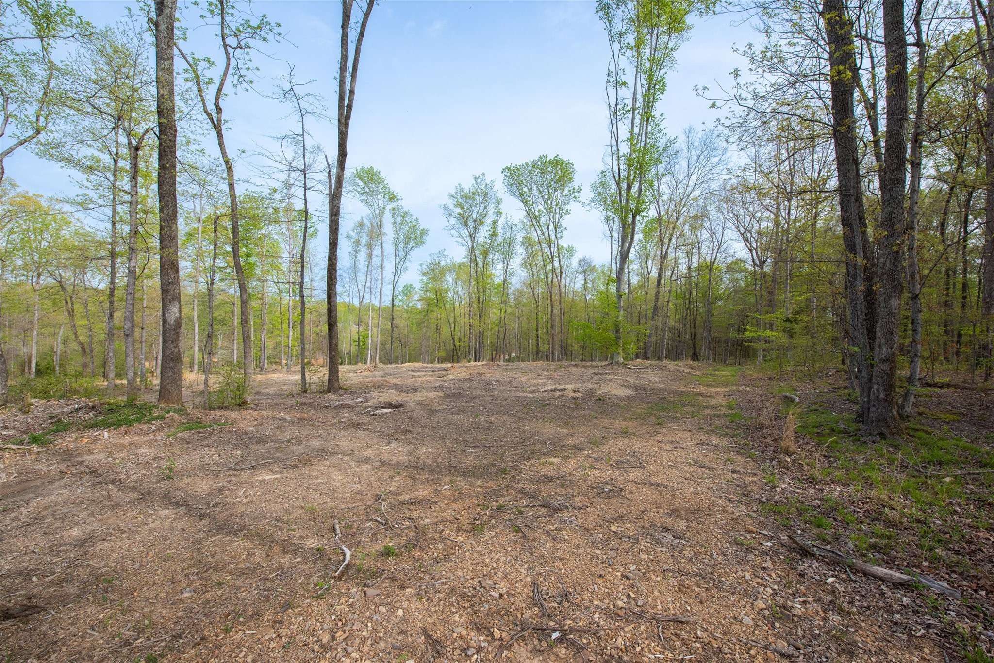 Vanleer, TN 37181,0 Norris Hollow Road