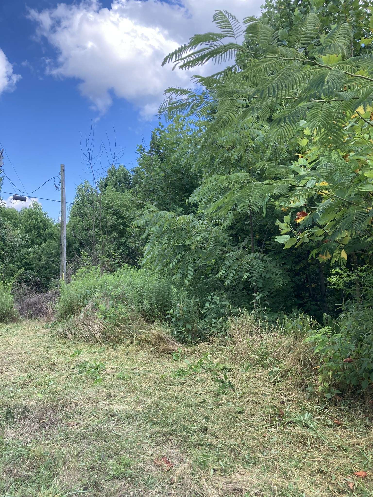 Whitleyville, TN 38588,2207 Riley Creek Rd