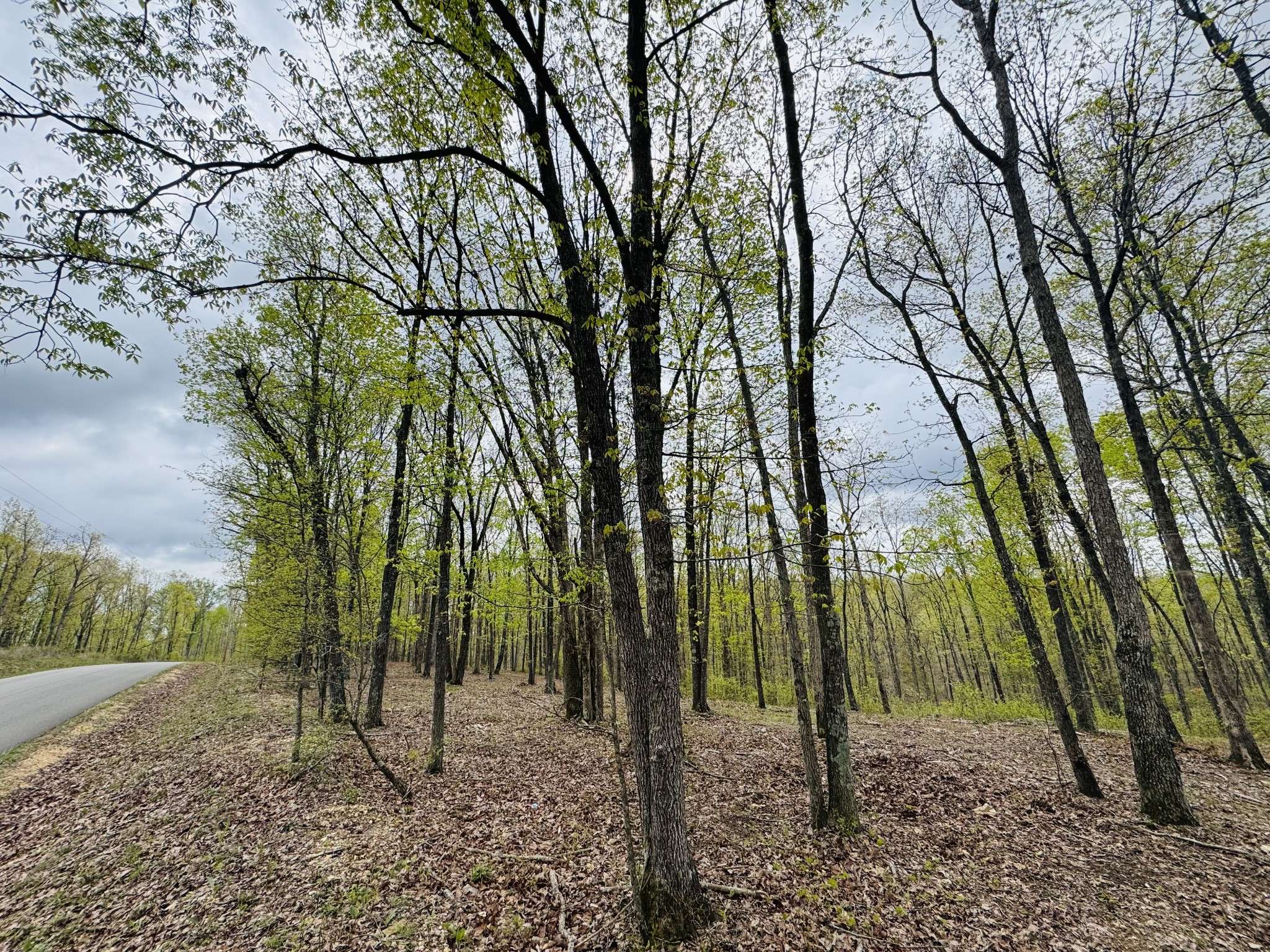 Waverly, TN 37185,0 Richland Harbor Rd