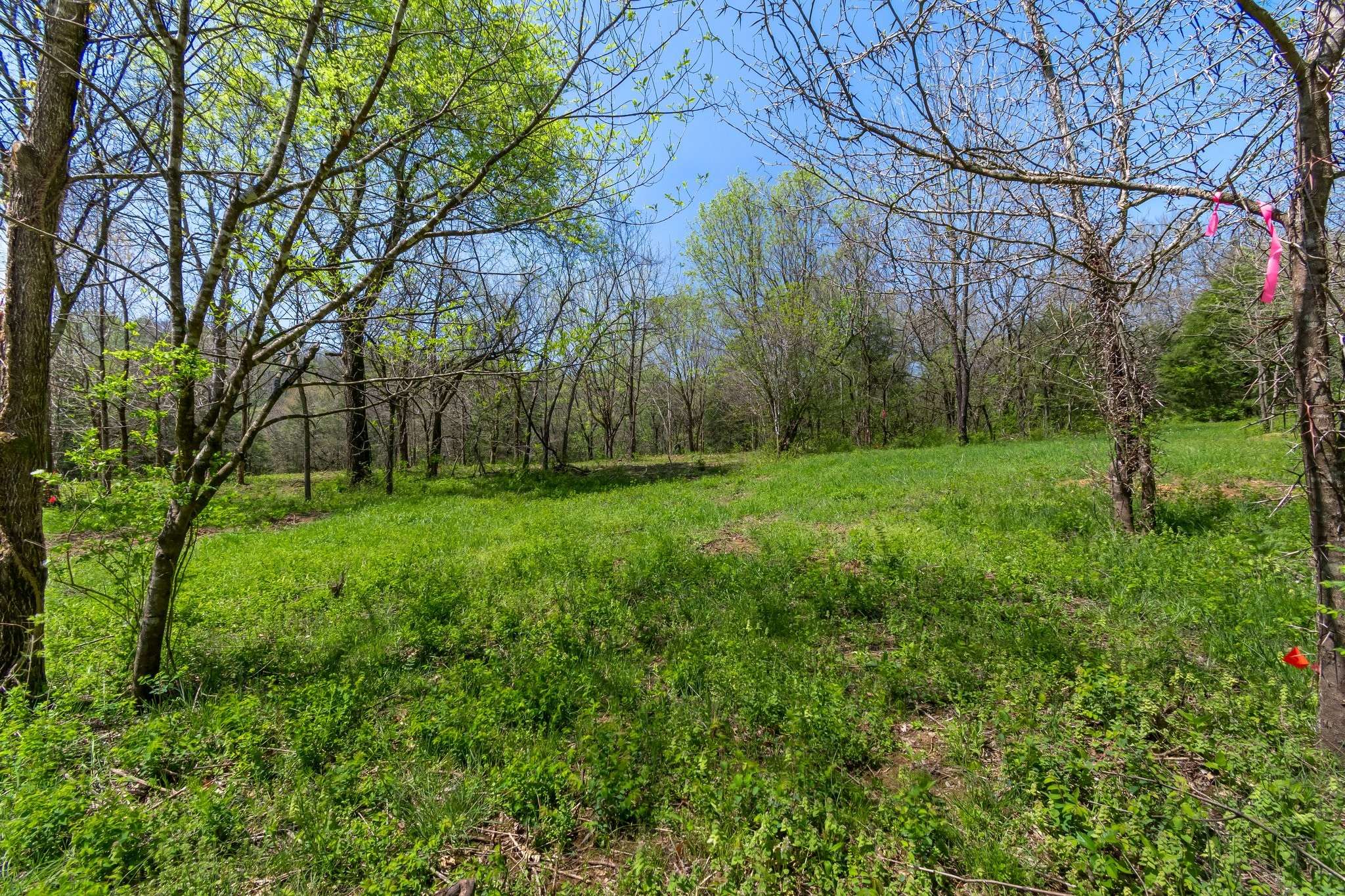 Lewisburg, TN 37091,2819 Yell Rd