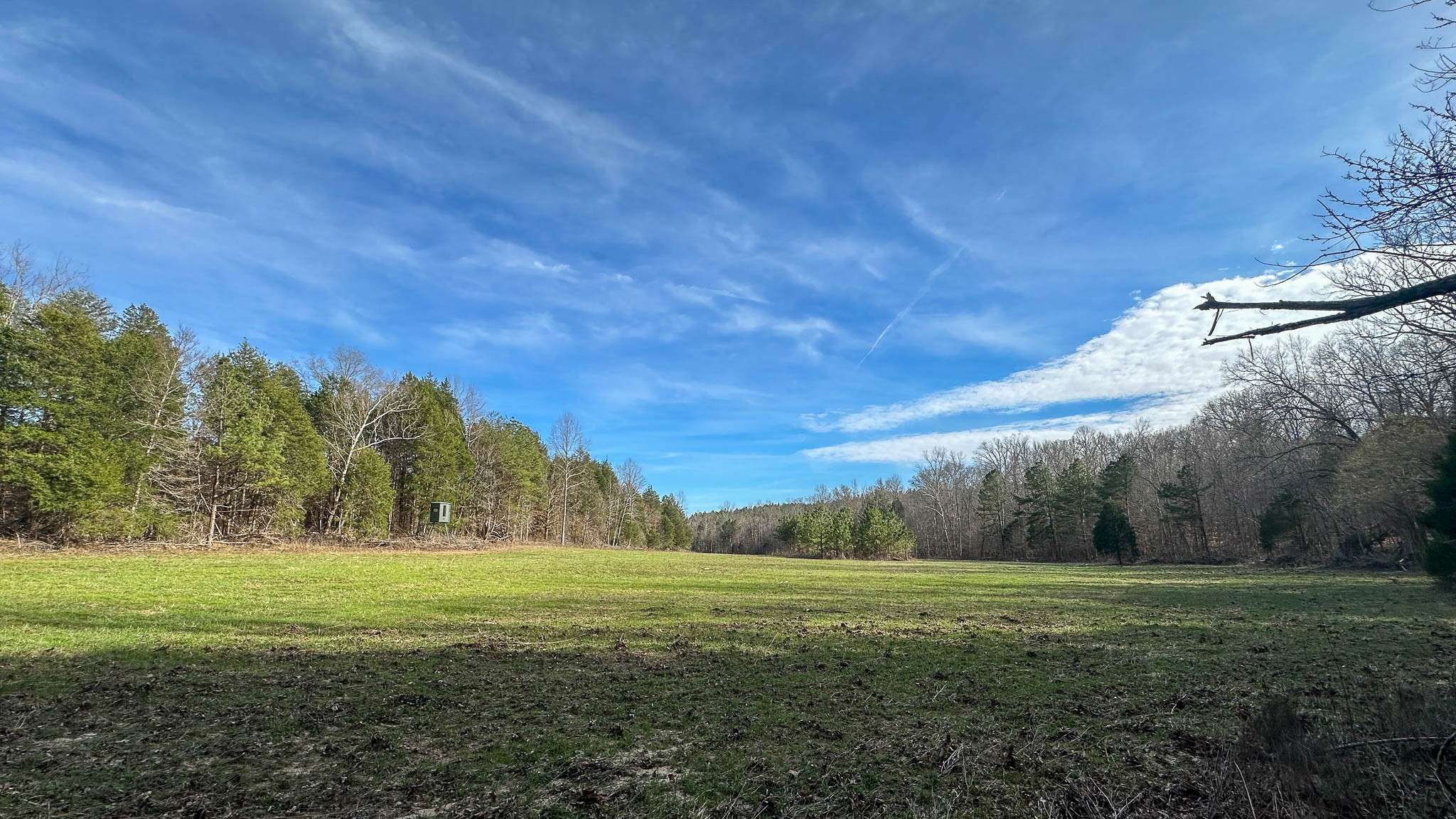 Parsons, TN 38363,0 Jeannette Holladay Rd