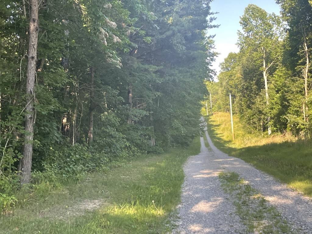 Mcminnville, TN 37110,225 George Holland Ln