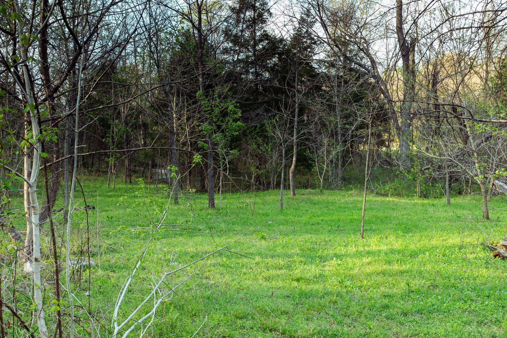 Erin, TN 37061,0 Rye Loop