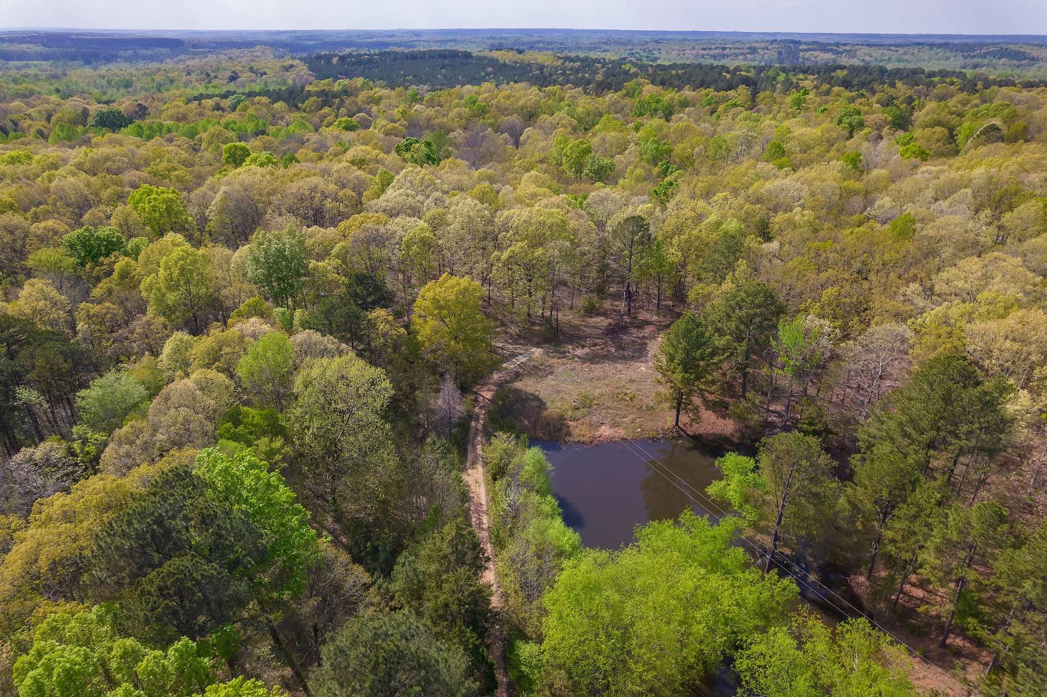 Medon, TN 38356,2865 Deanburg Rd