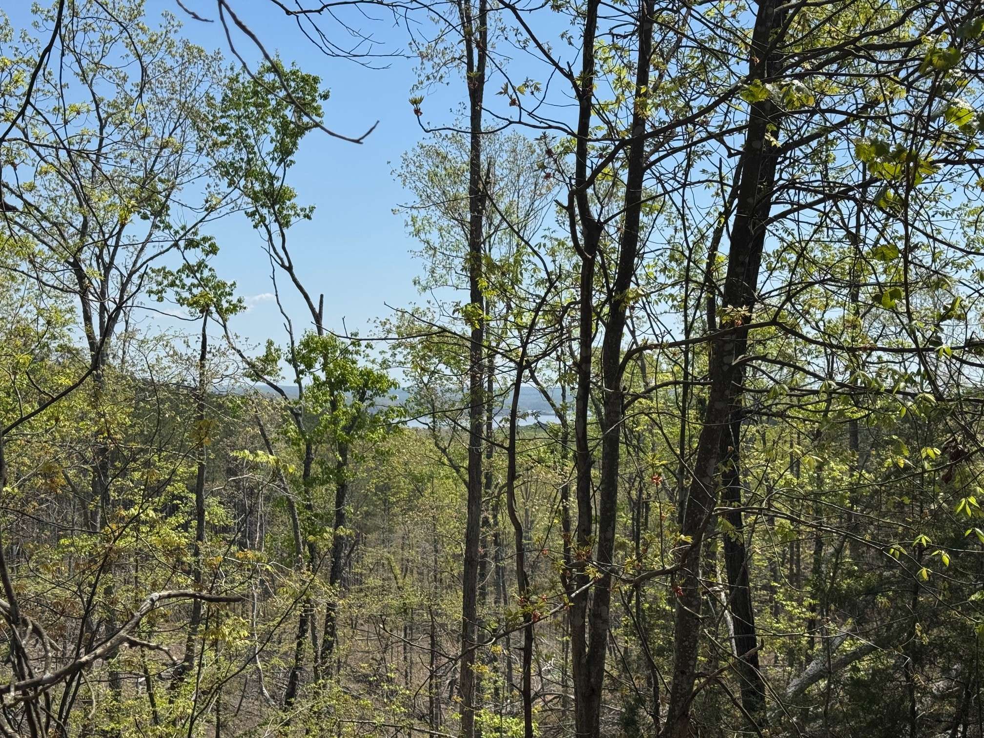 Big Sandy, TN 38221,0 Sandys Camp Road