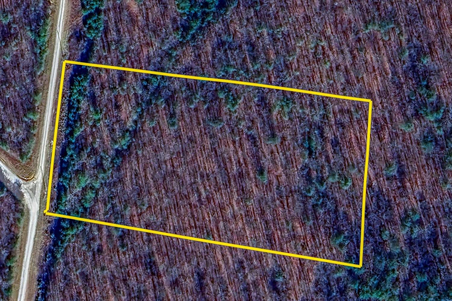 Altamont, TN 37301,0 Turkey Track Rd