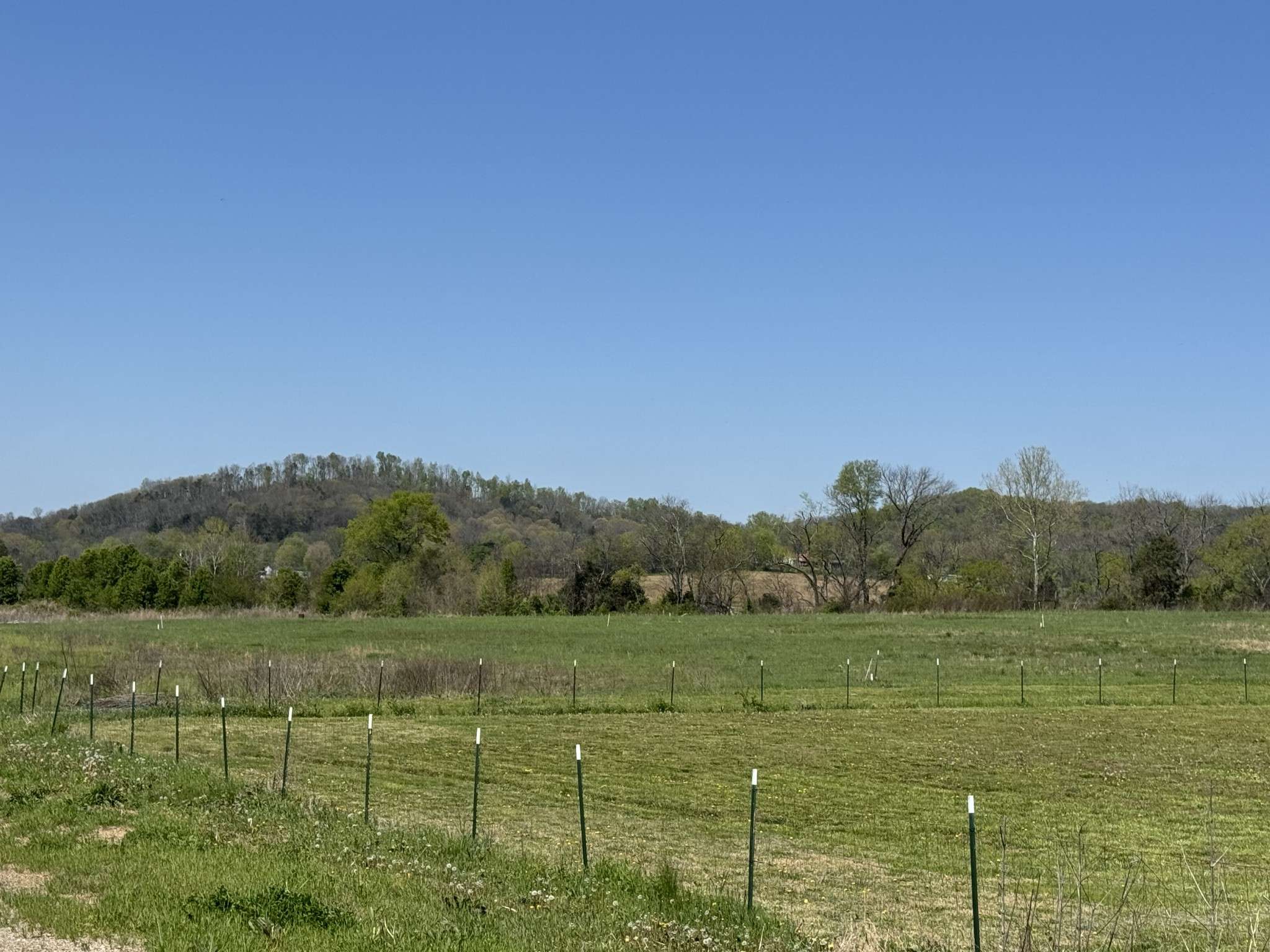 Bethpage, TN 37022,102 Creek Bank Dr