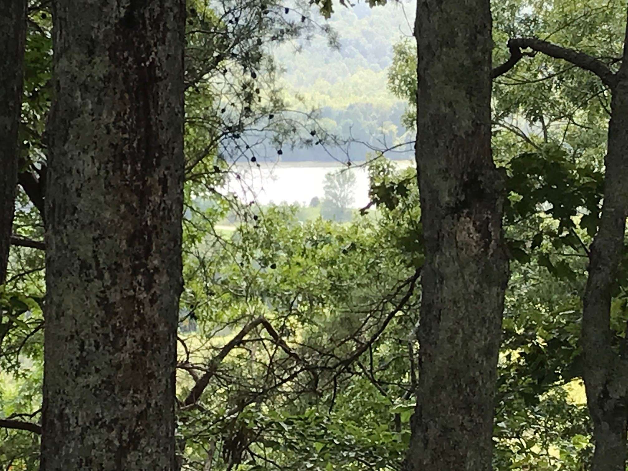 Ashland City, TN 37015,0 Highway 12 #N