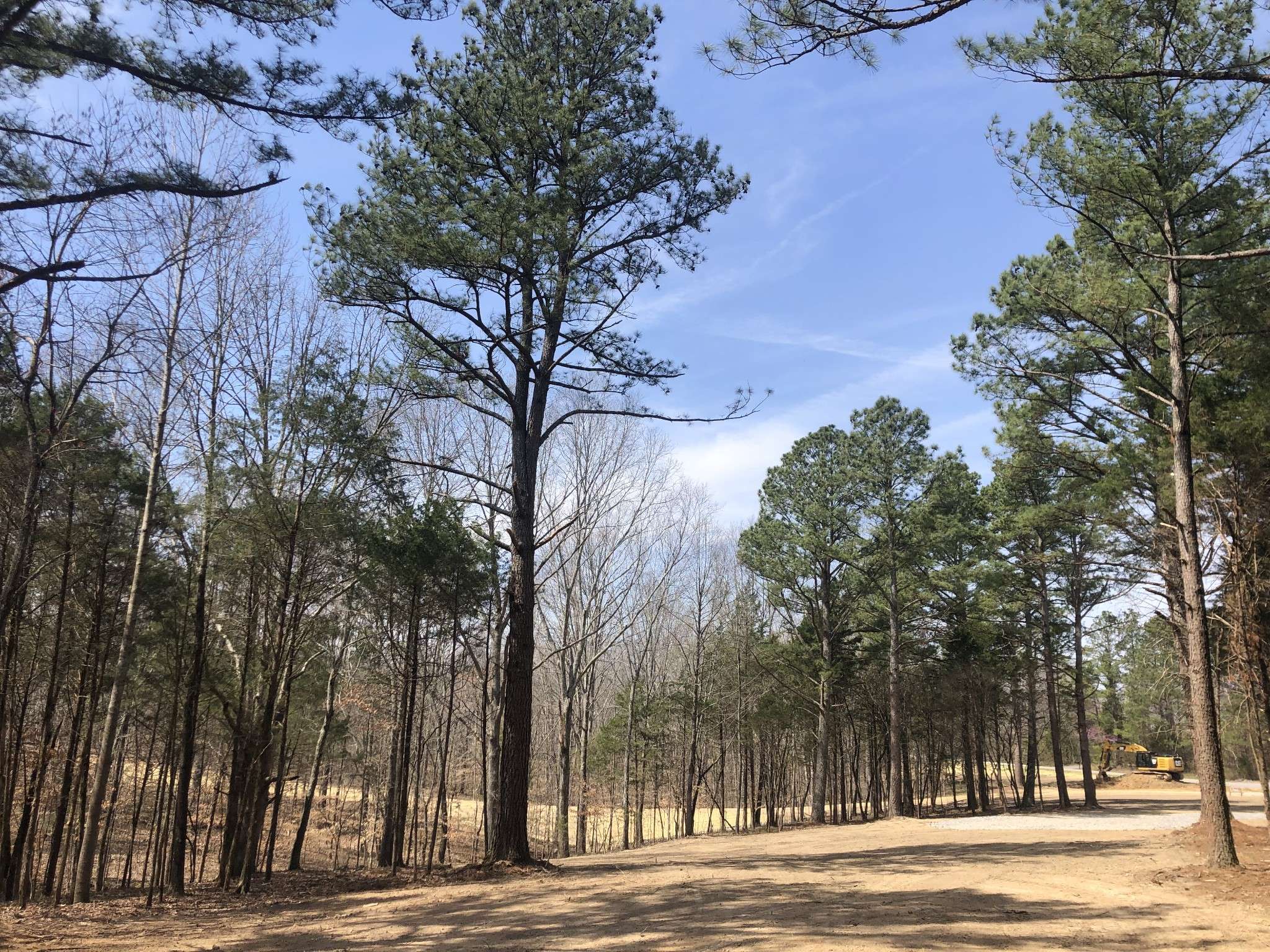 Primm Springs, TN 38476,5 Daugherty Capley Rd