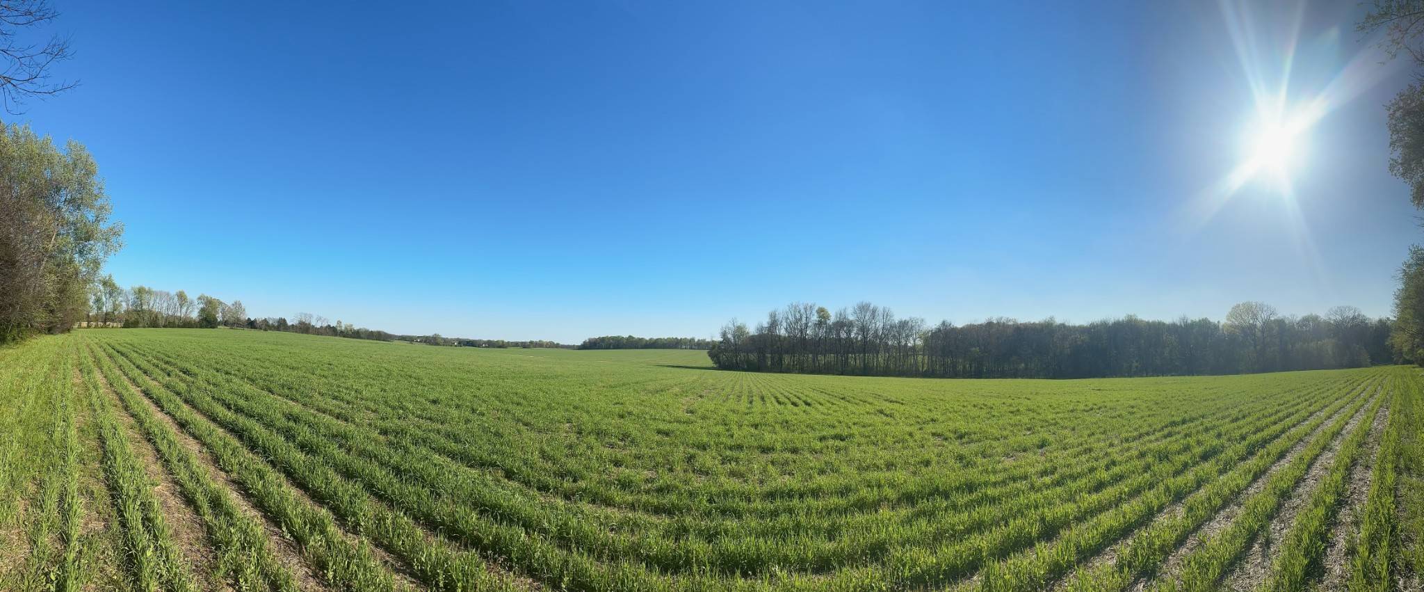 Cottontown, TN 37048,4814 Hwy 31 W