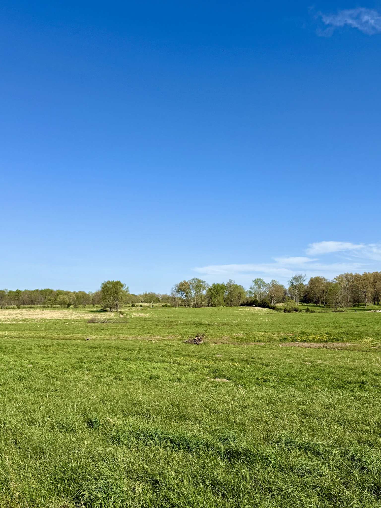 Portland, TN 37148,0 Halltown Rd