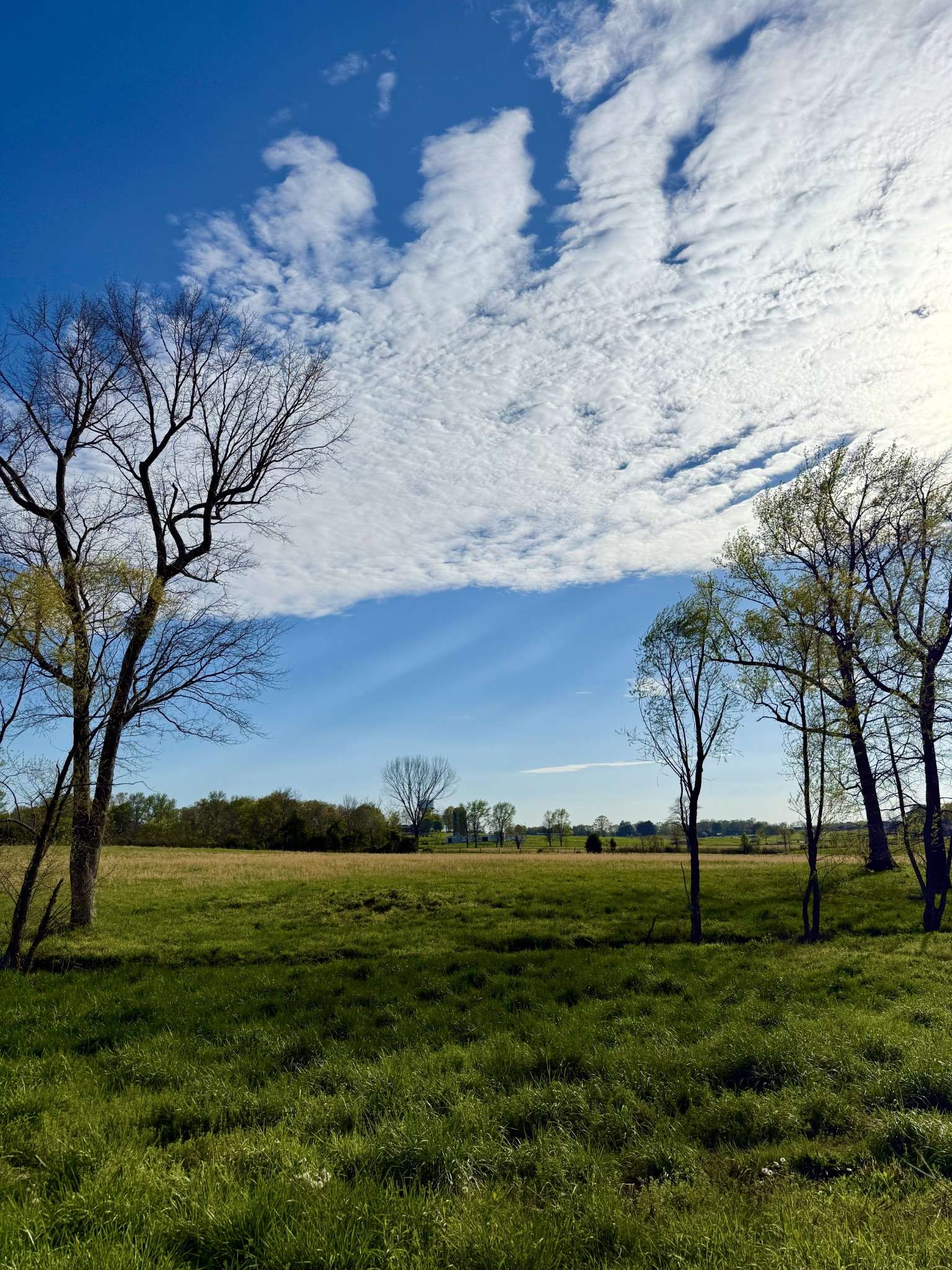 Portland, TN 37148,0 Thompson Ln