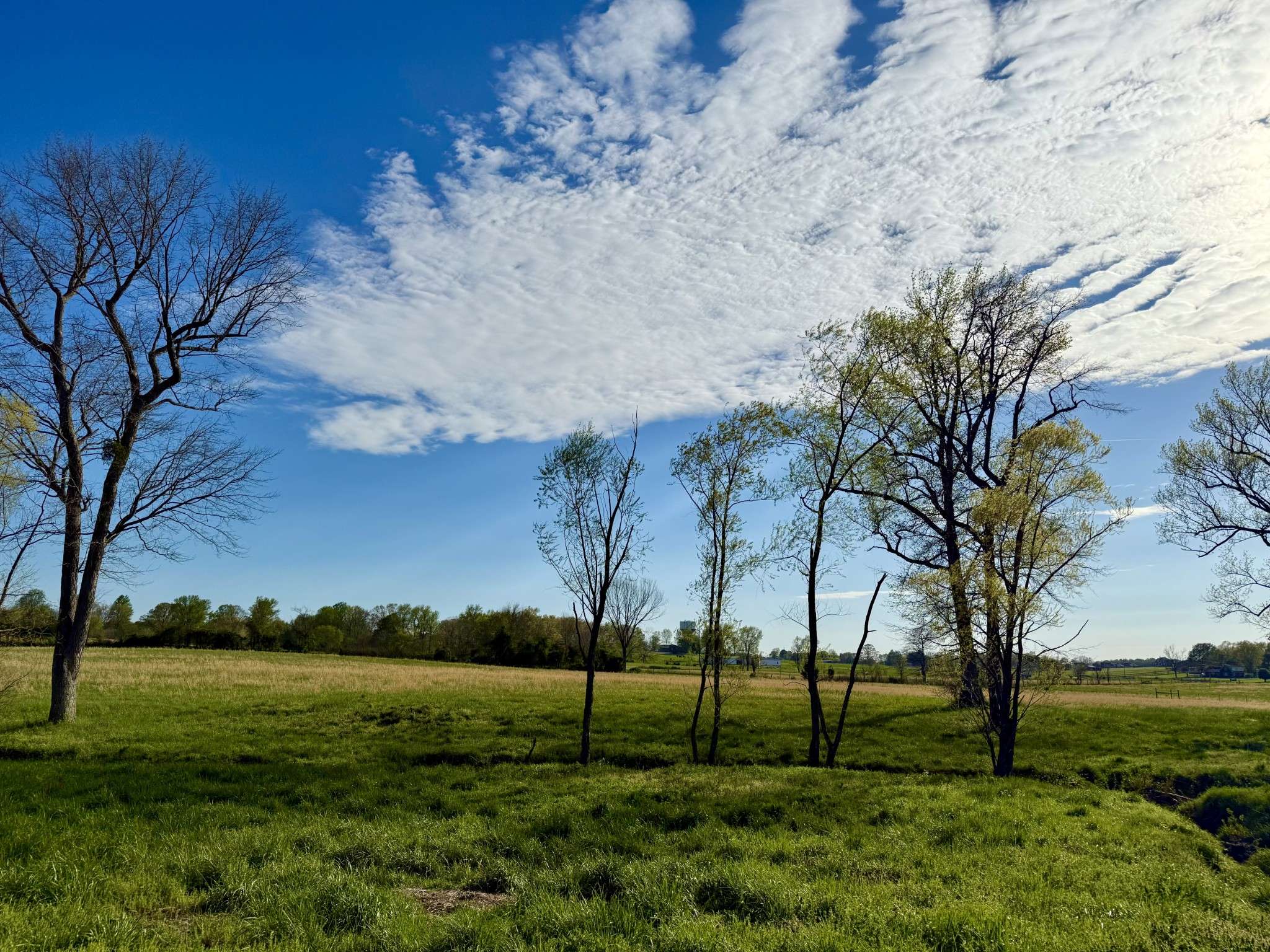 Portland, TN 37148,0 Thompson Ln