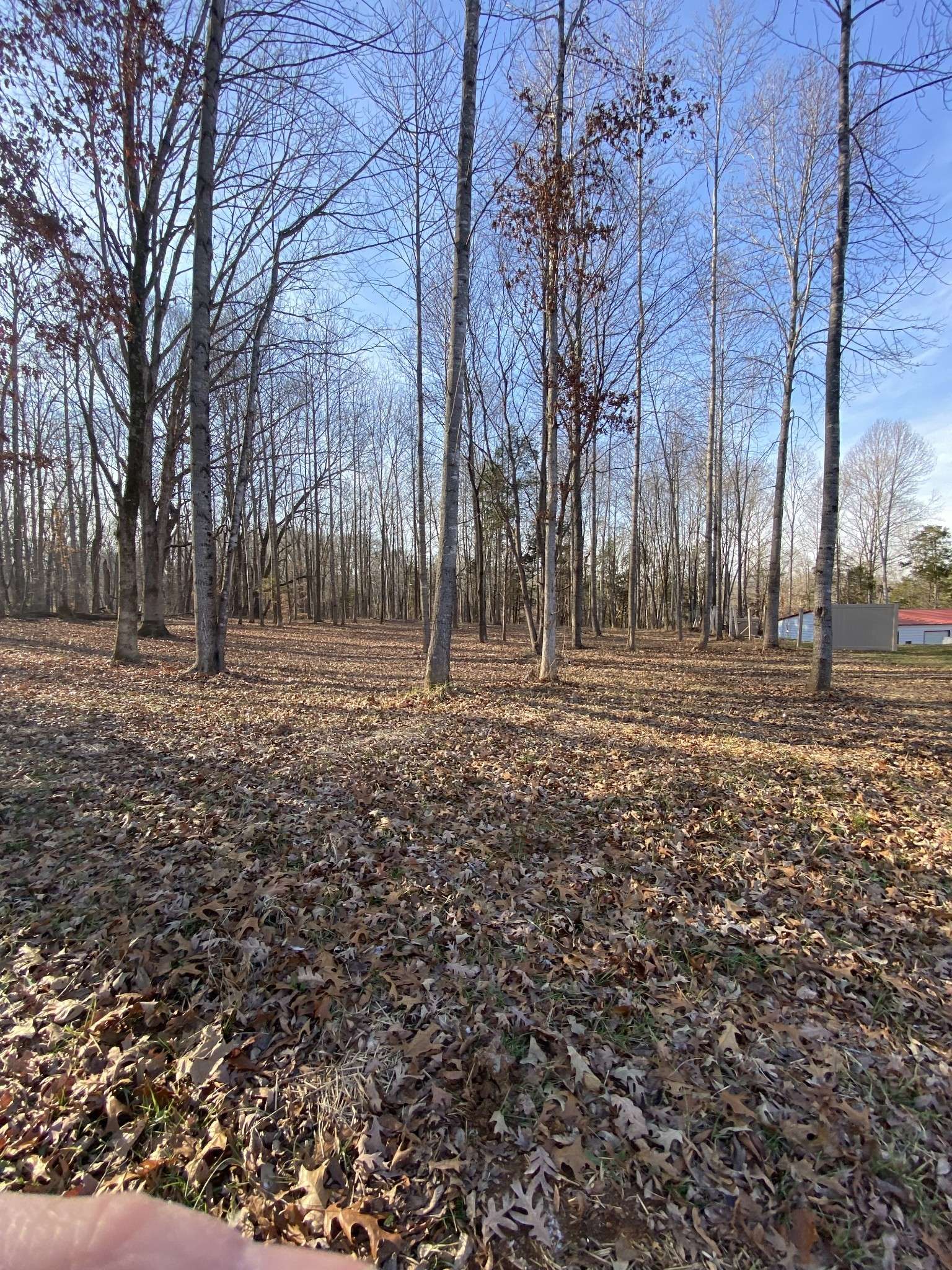 Adams, TN 37010,4429 Memory Ln