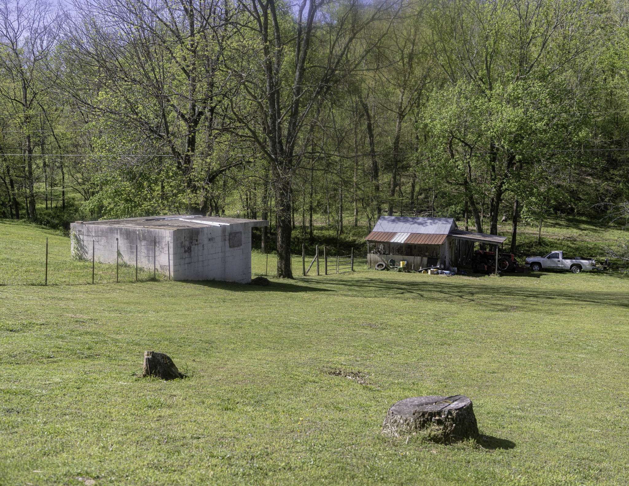 Mount Pleasant, TN 38474,1657 Terrapin Branch Rd