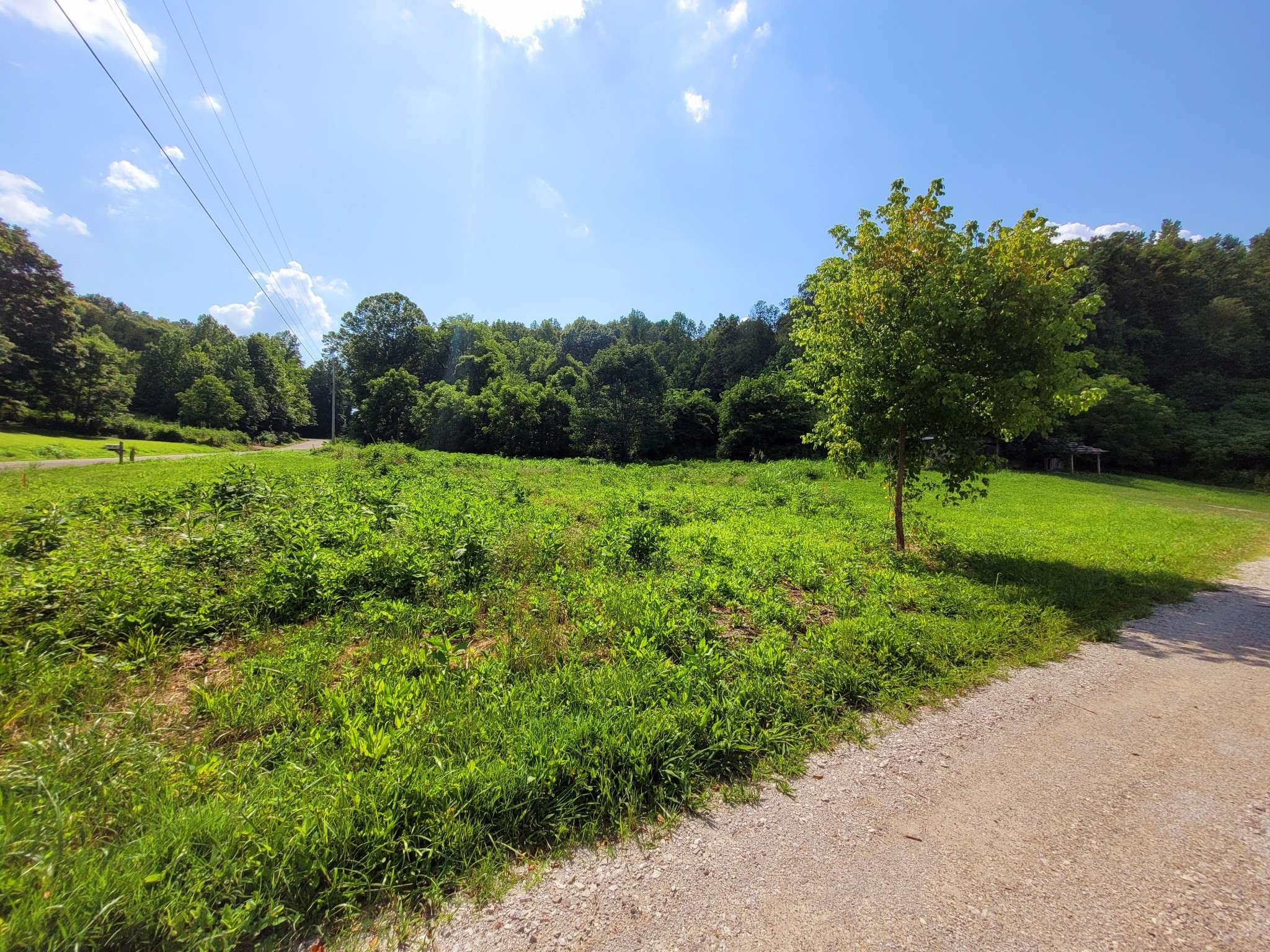 Charlotte, TN 37036,995 Coaling Rd