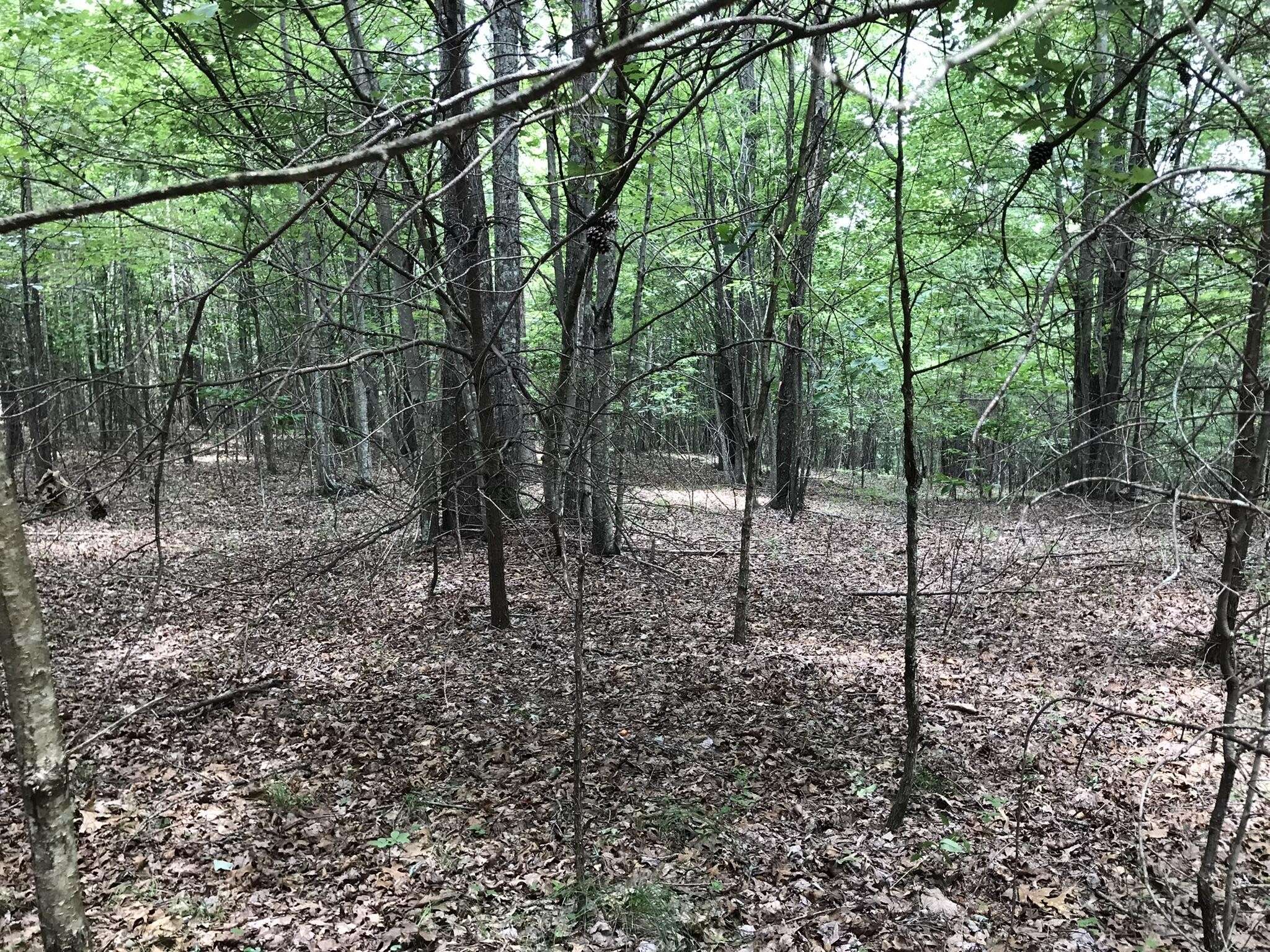 Dunlap, TN 37327,0 Bluffview Drive
