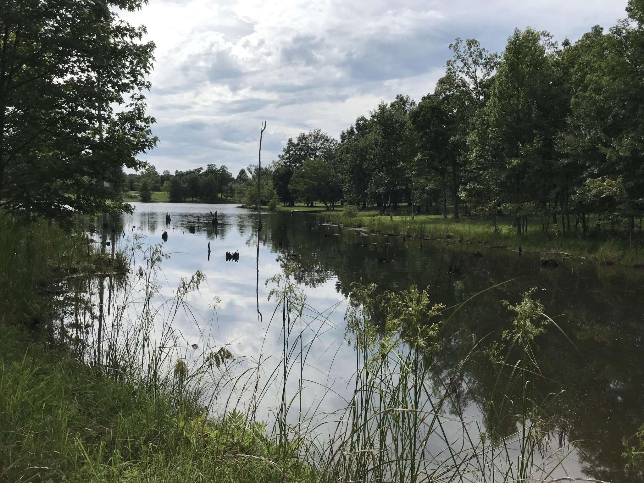 Dunlap, TN 37327,6 Greenfields Way N