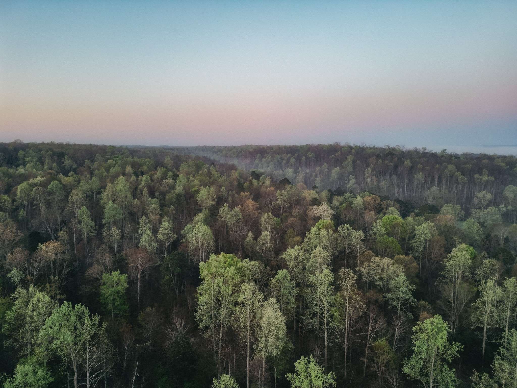 Nunnelly, TN 37137,0 Pinewood Rd