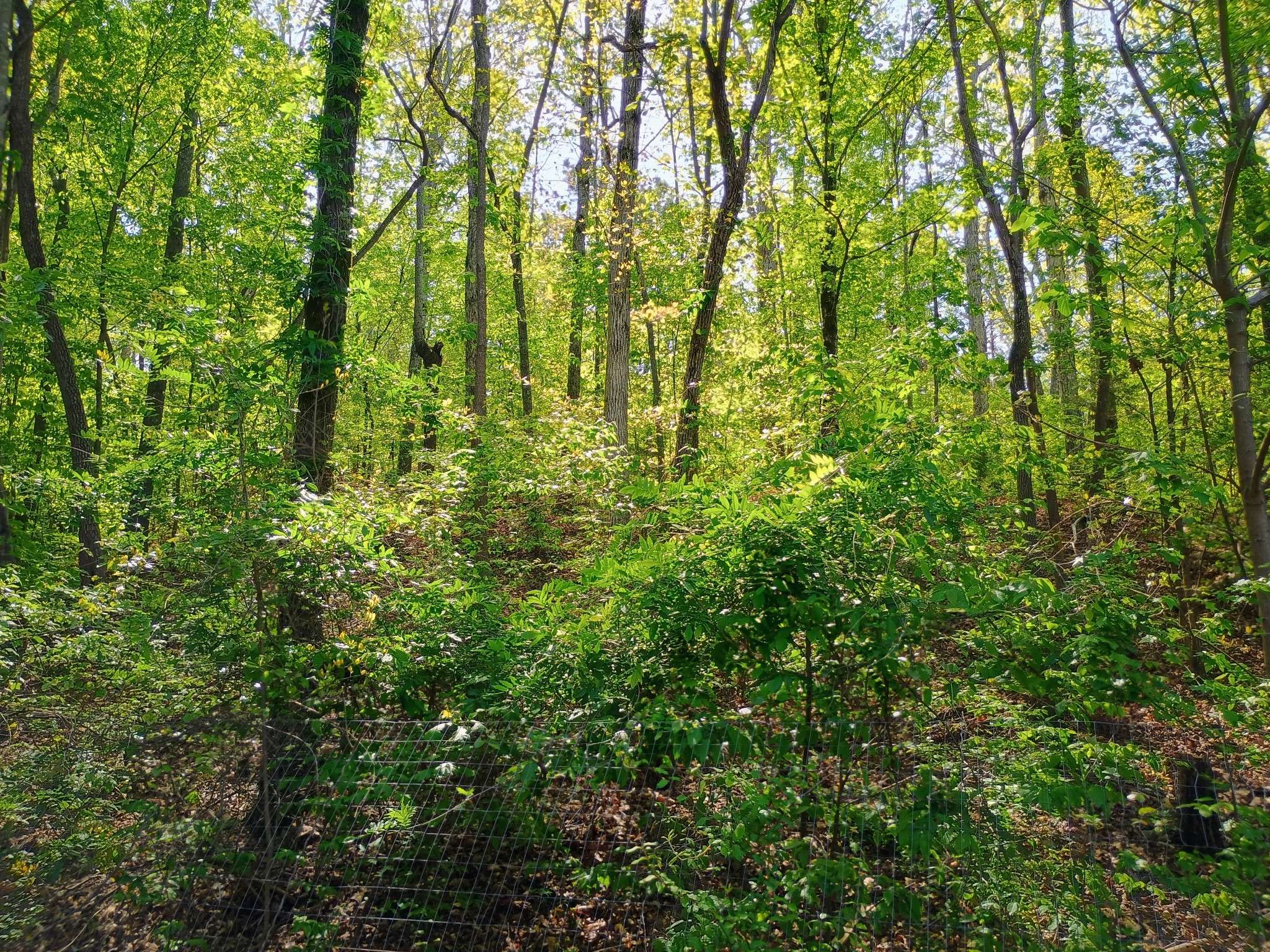 Linden, TN 37096,2790 Deer Creek Rd