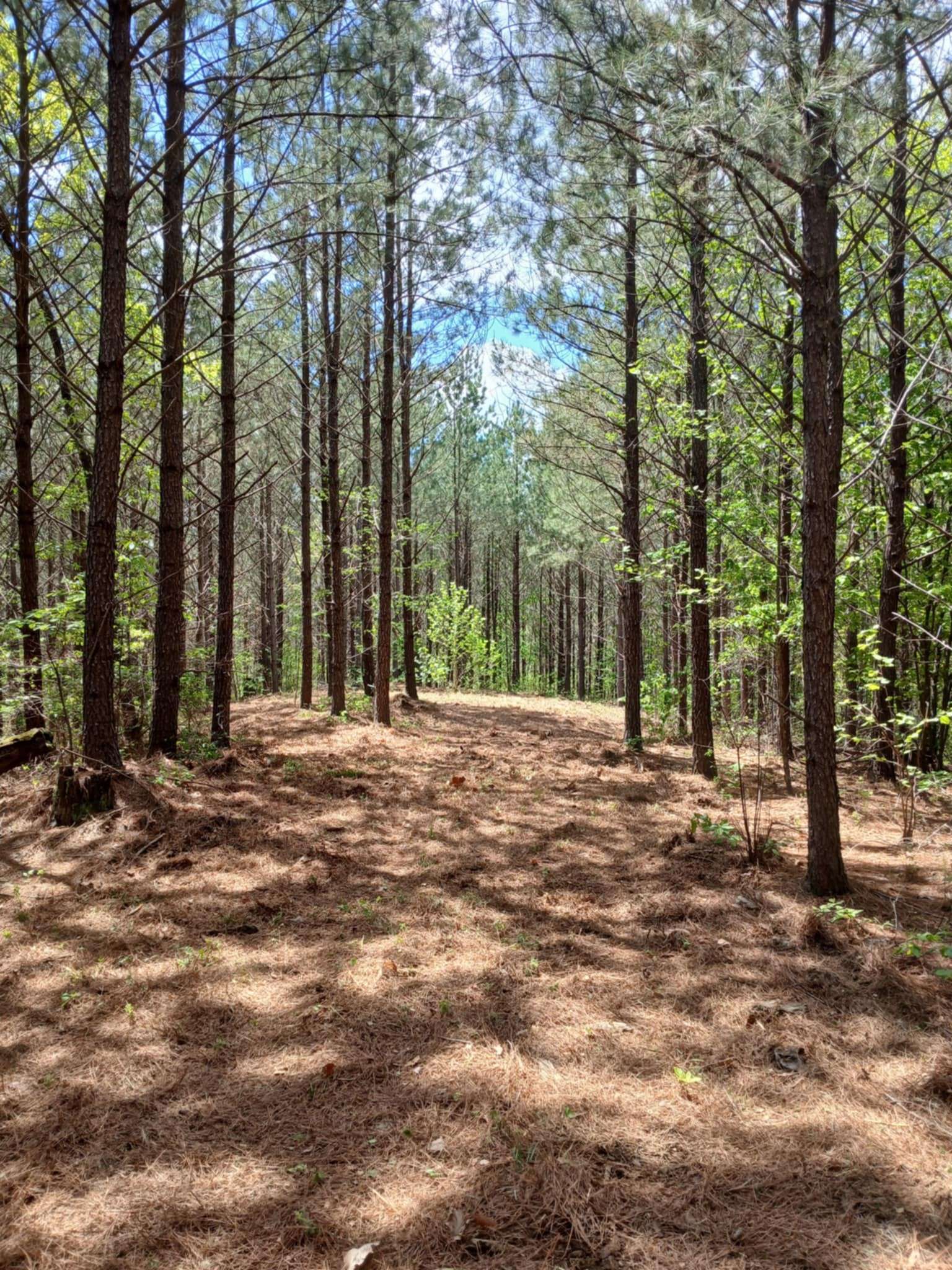 Linden, TN 37096,230 Juniper Dr