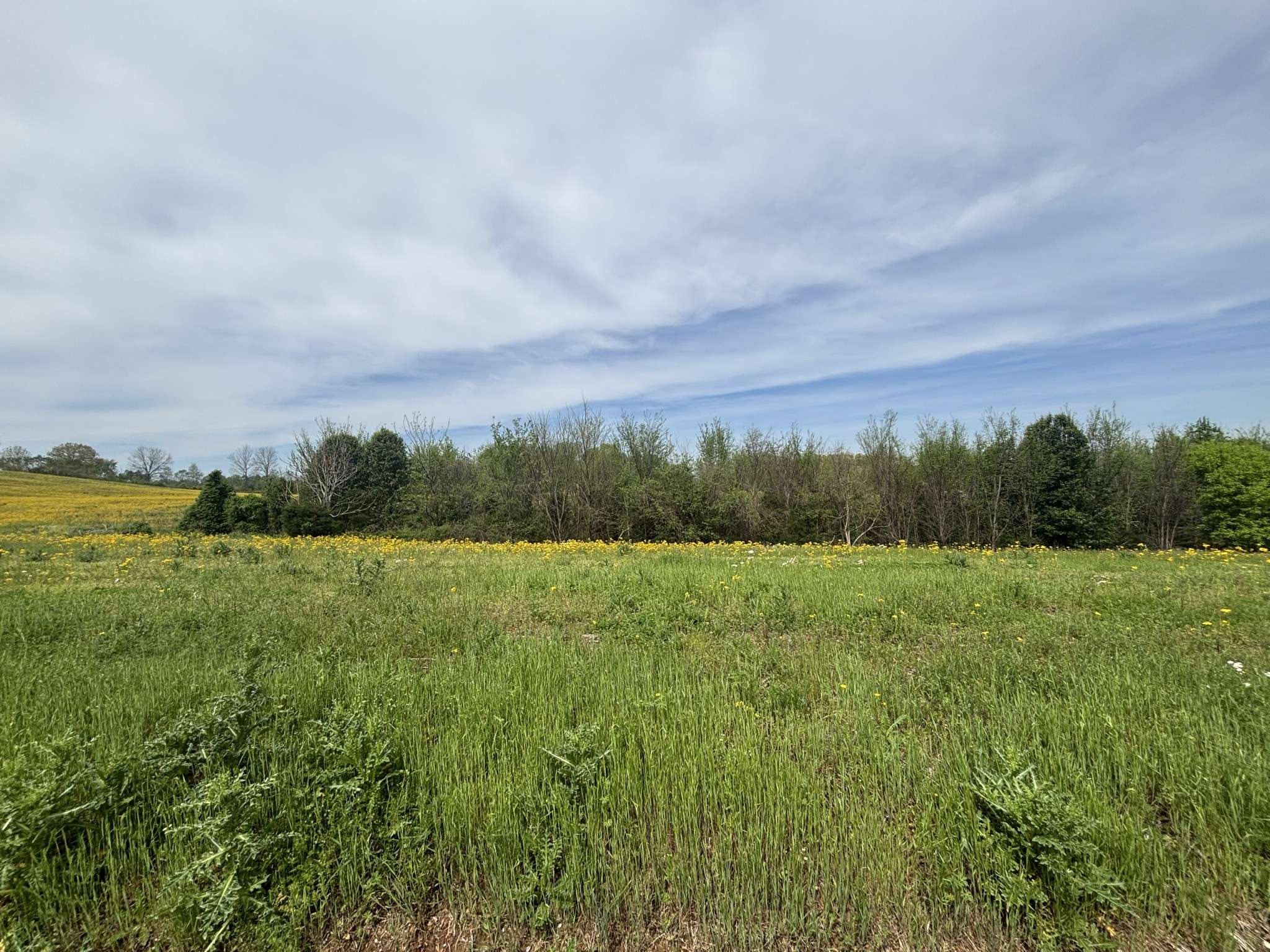 Lafayette, TN 37083,0 oakmere Lane
