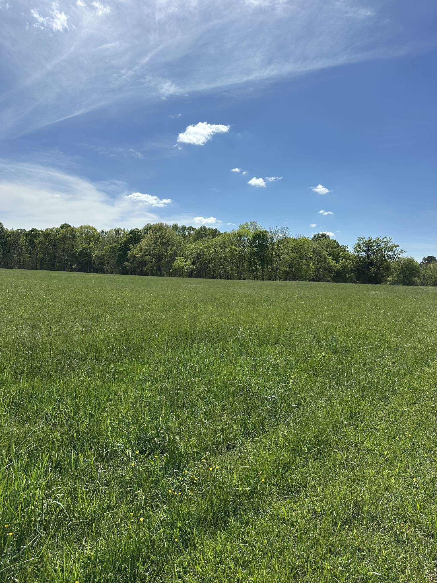 Portland, TN 37148,362 Womack Rd