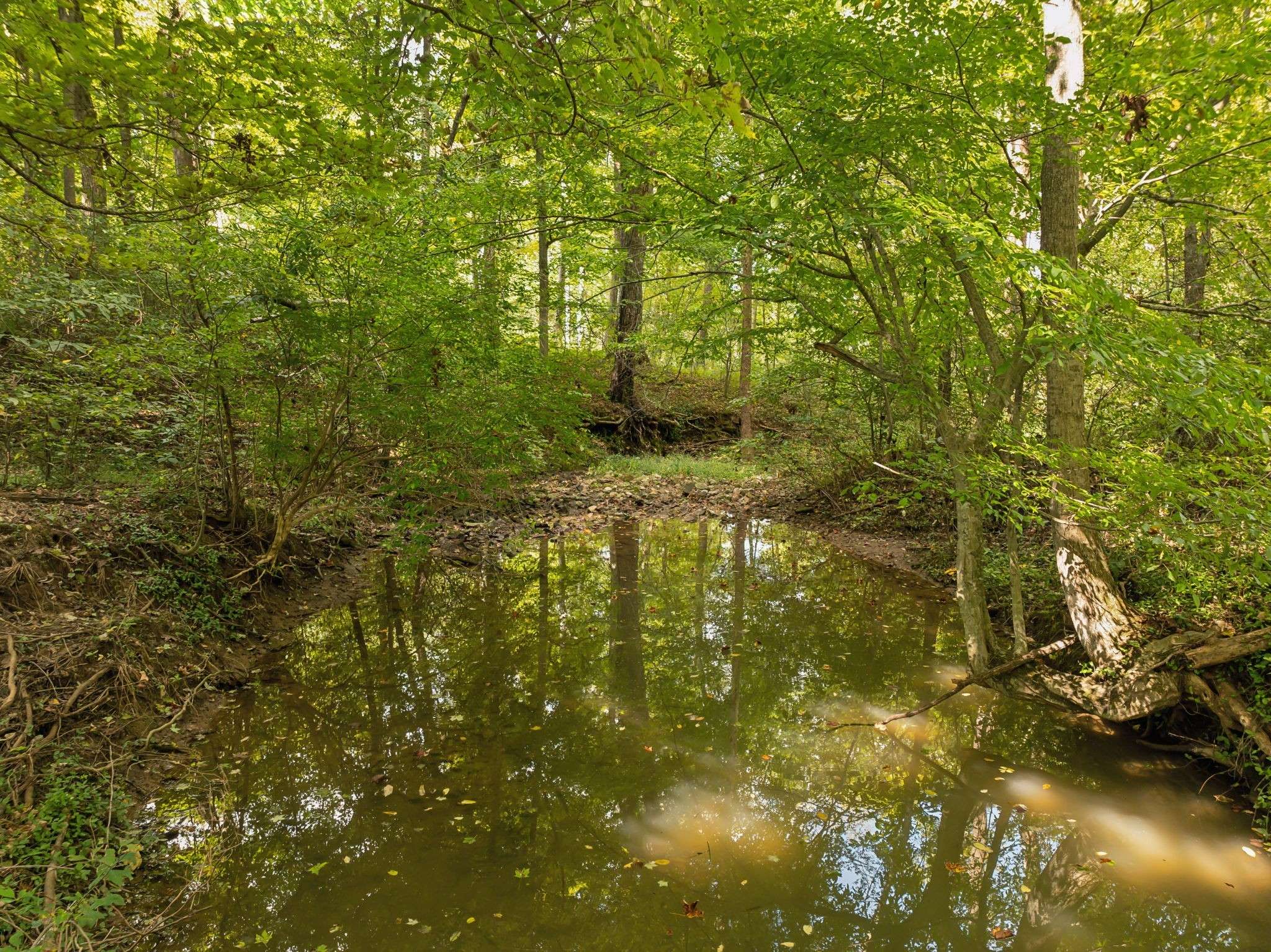 Arrington, TN 37014,2971 Spanntown Rd