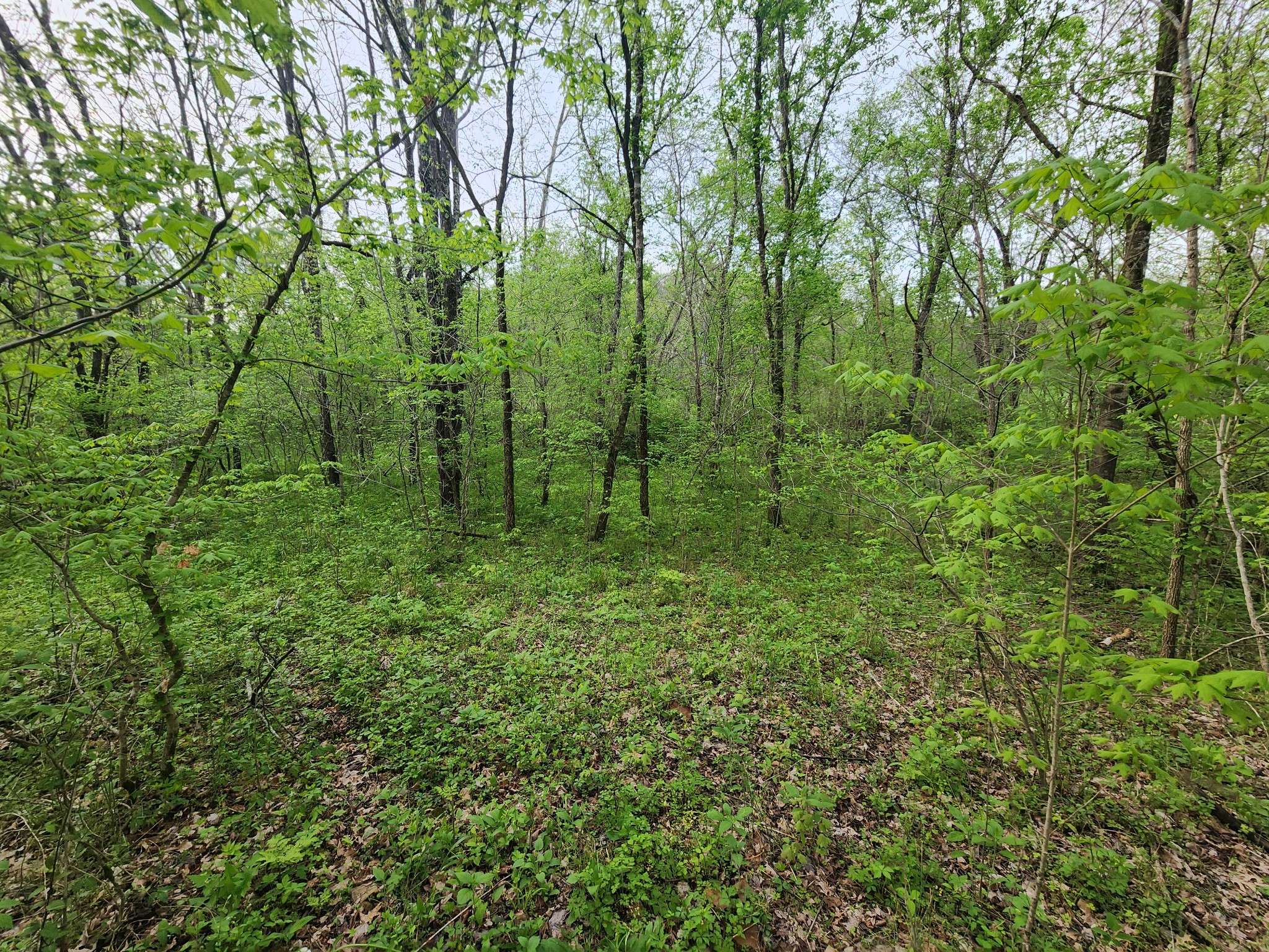 Waynesboro, TN 38485,0 Dog Creek