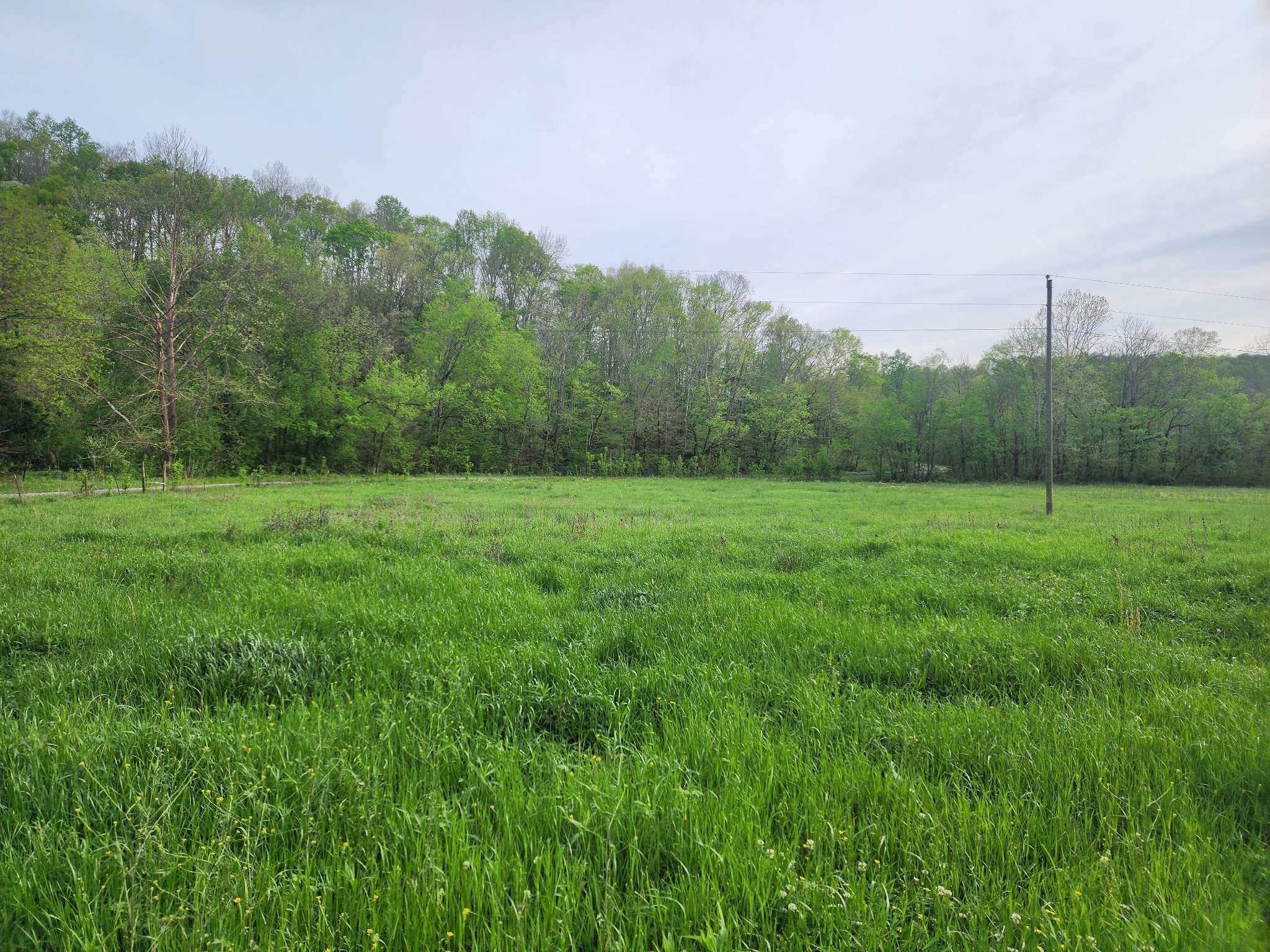 Waynesboro, TN 38485,0 Walnut Grove Rd