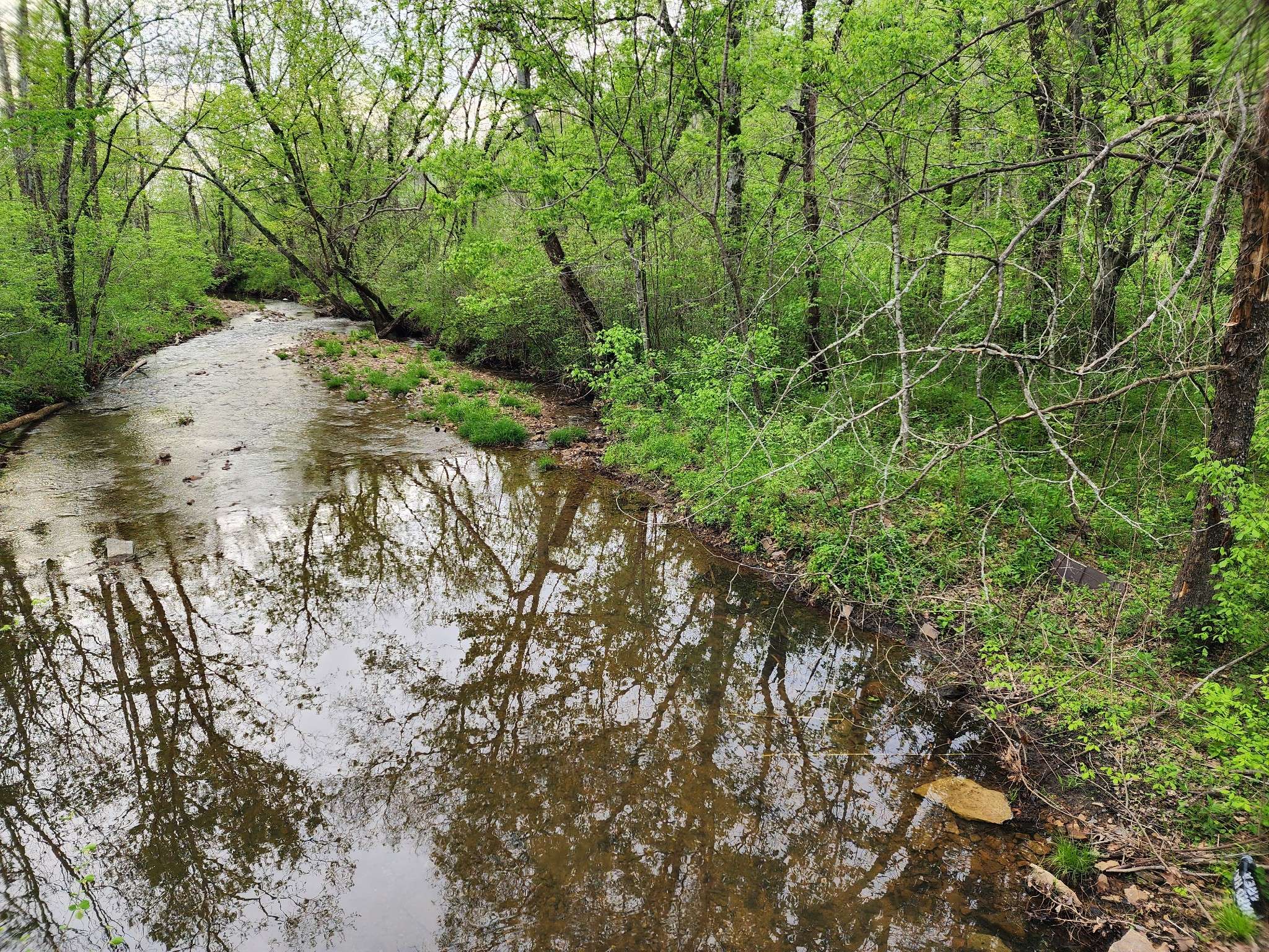 Waynesboro, TN 38485,0 Walnut Grove Rd