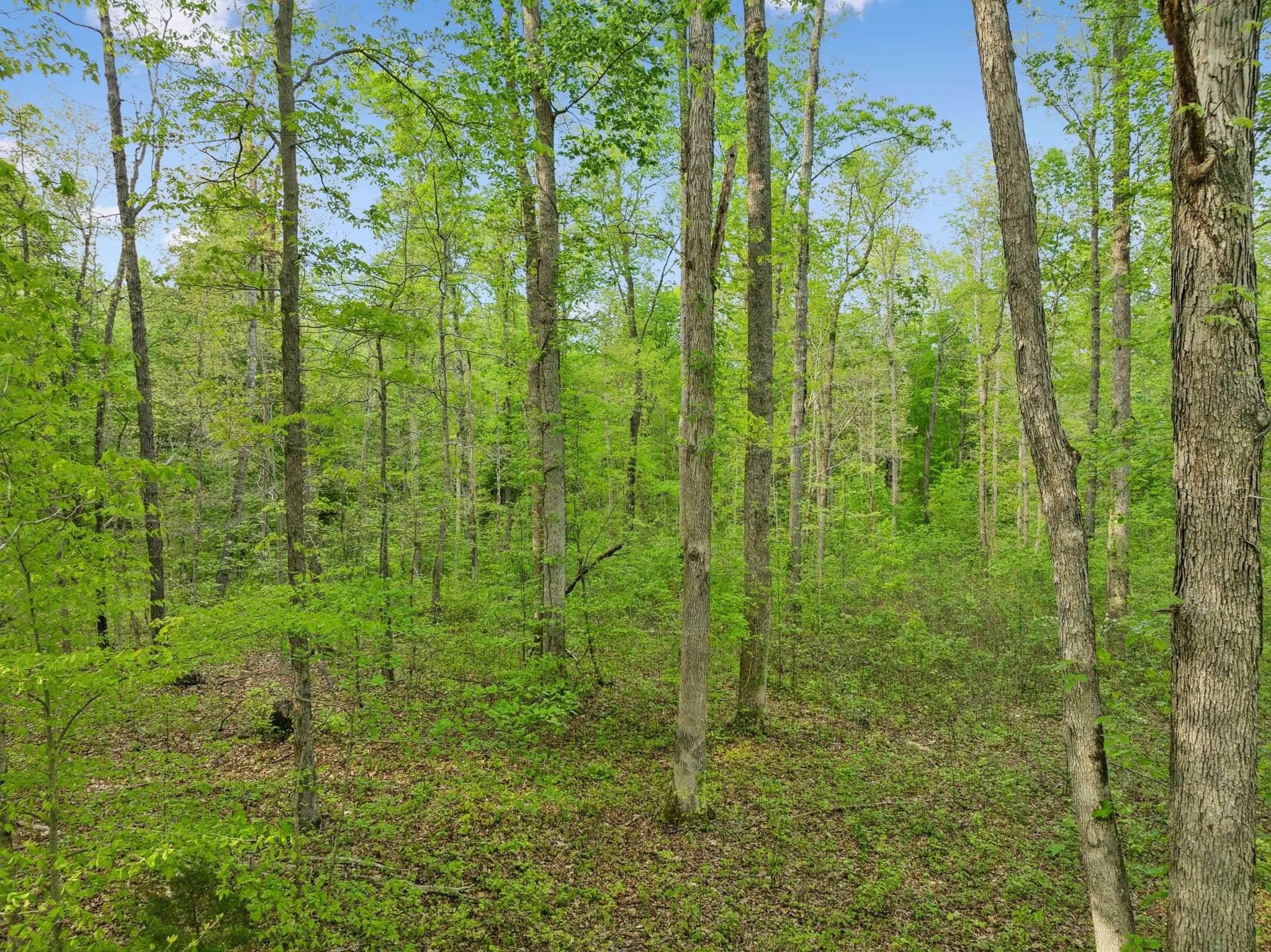 Fairview, TN 37062,0 Bahne Rd