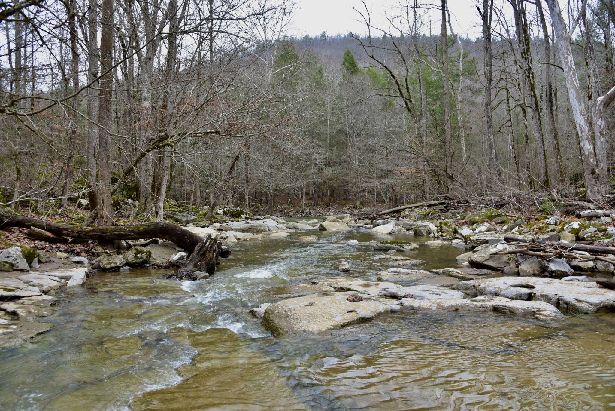 Monterey, TN 38574,0 Coal Lane