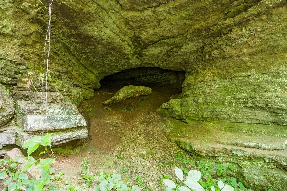 Christiana, TN 37037,0 Burks Hollow Rd
