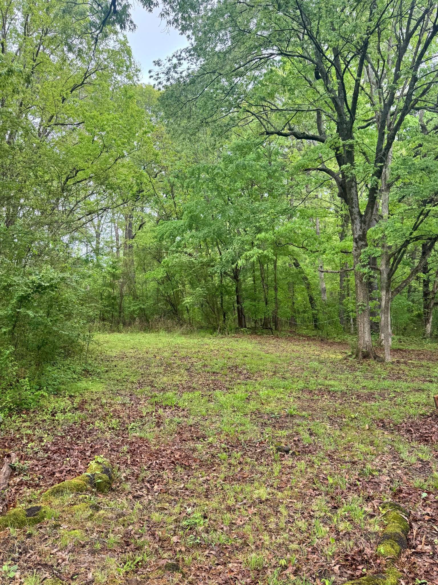 Camden, TN 38320,144 Post Oak Ave
