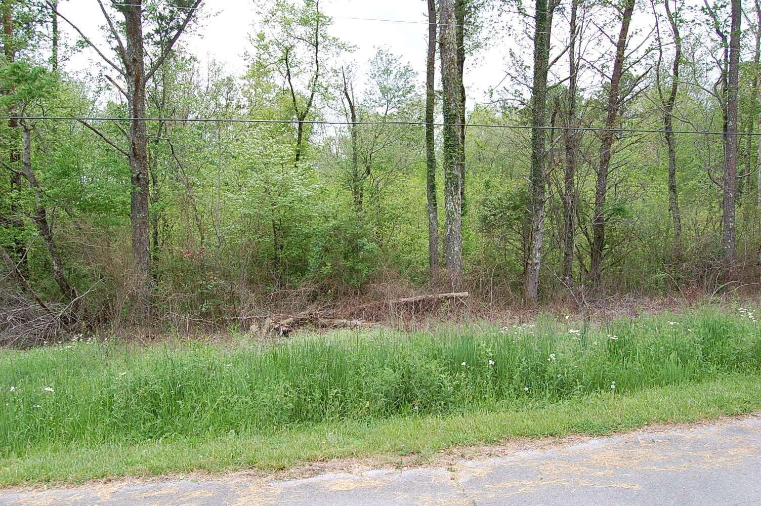 Gruetli Laager, TN 37339,66 51st Avenue