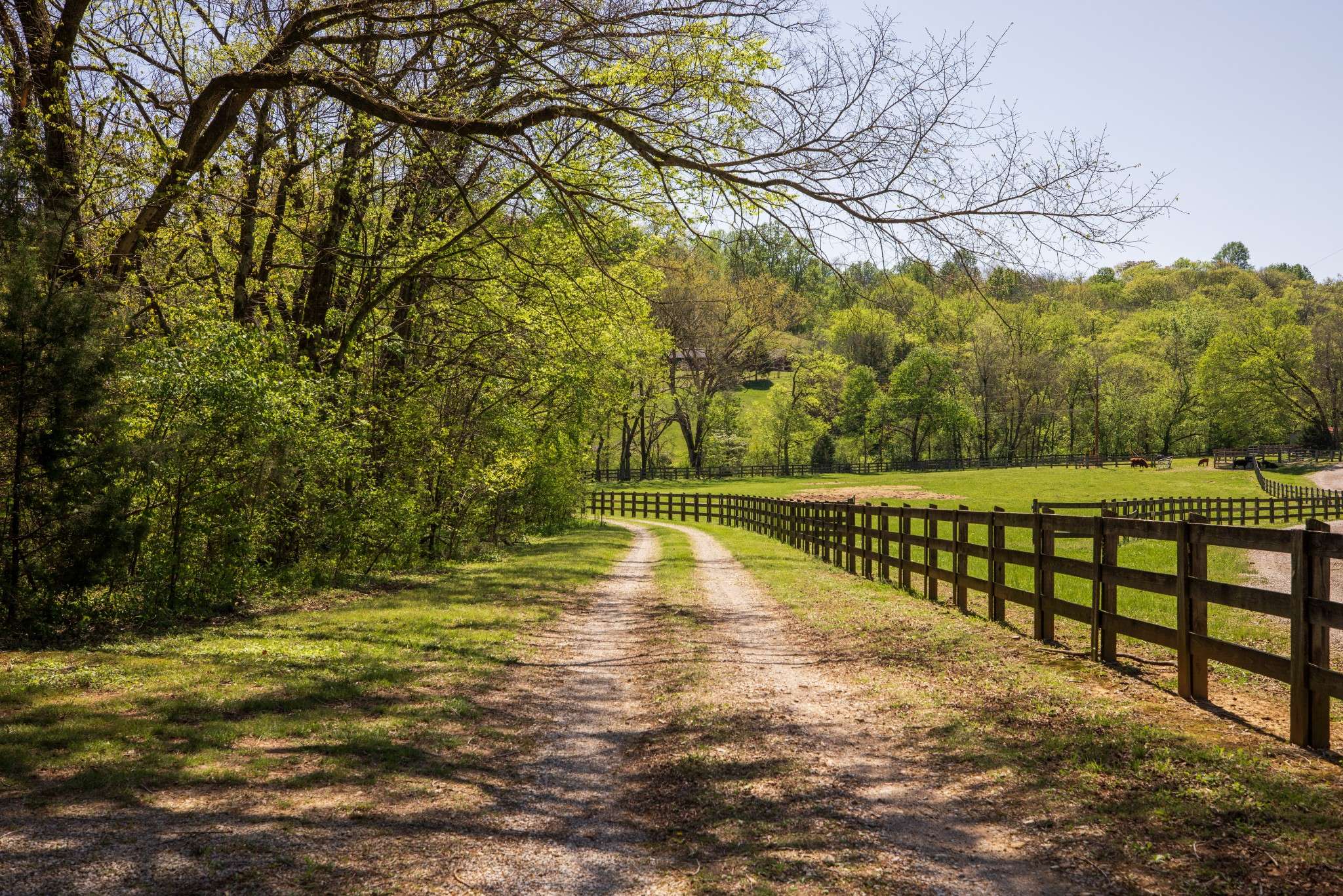 Lynnville, TN 38472,1912 Fairview Rd