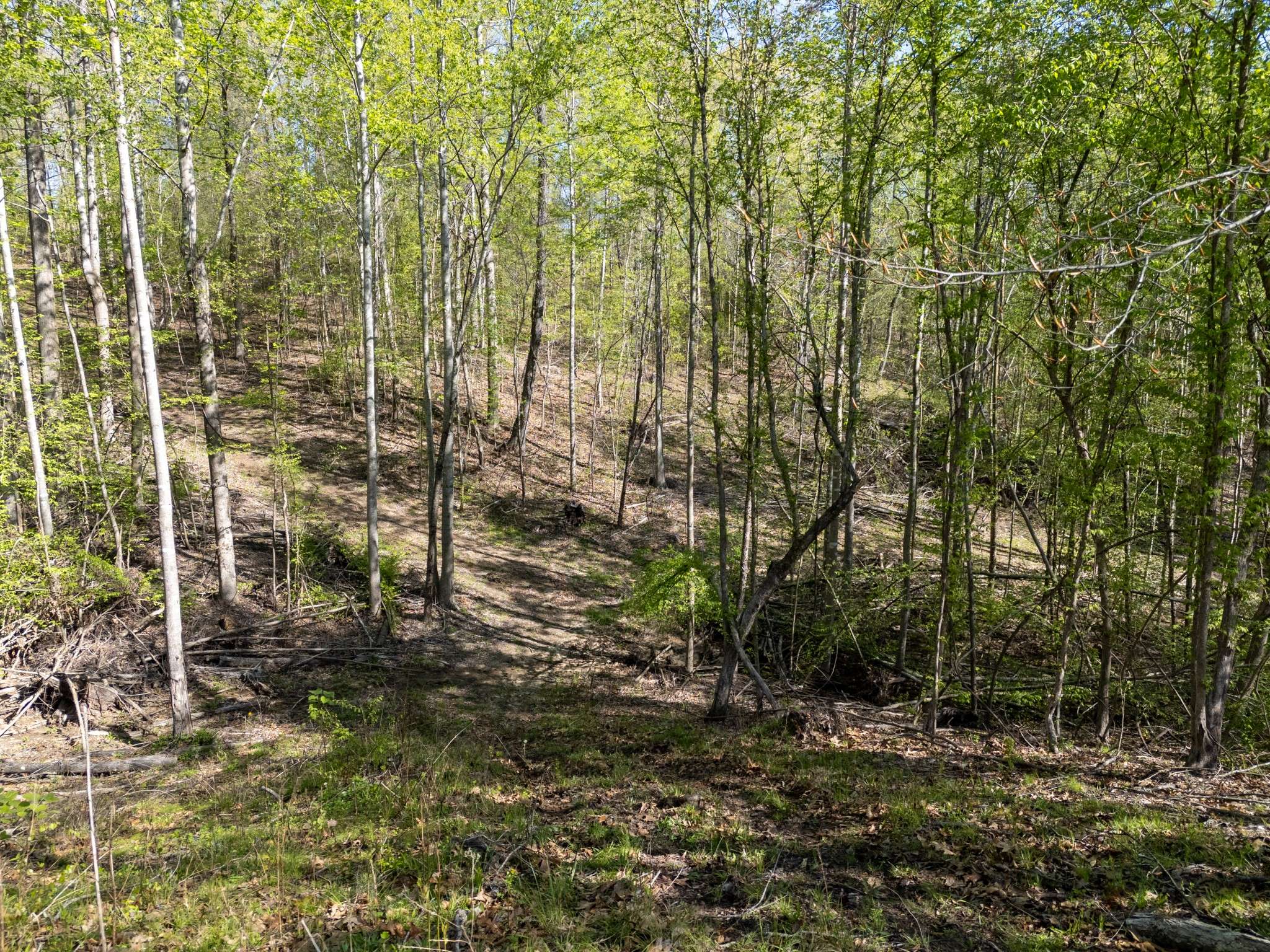 Lexington, TN 38351,0 Guy Hart Rd