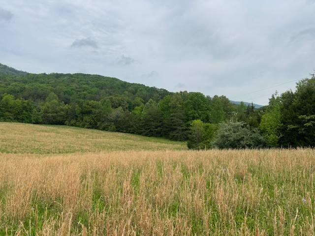 Pikeville, TN 37367,235 Allison Hill Rd