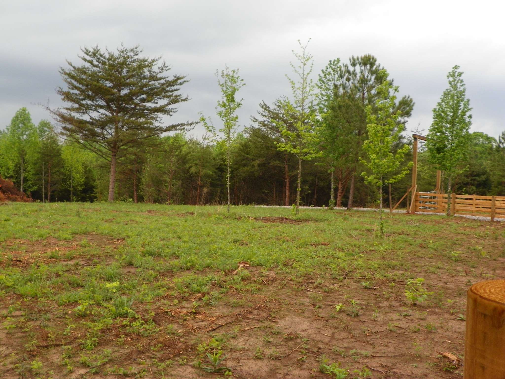 Sparta, TN 38583,0 Dave England Rd