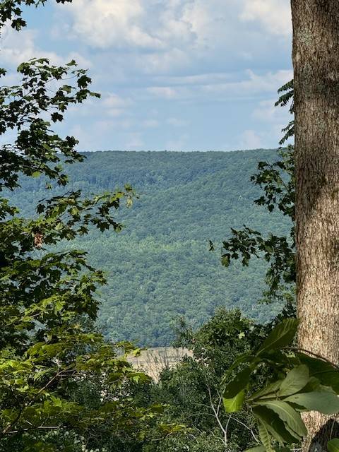 Monterey, TN 38574,0 Round Cove Rd