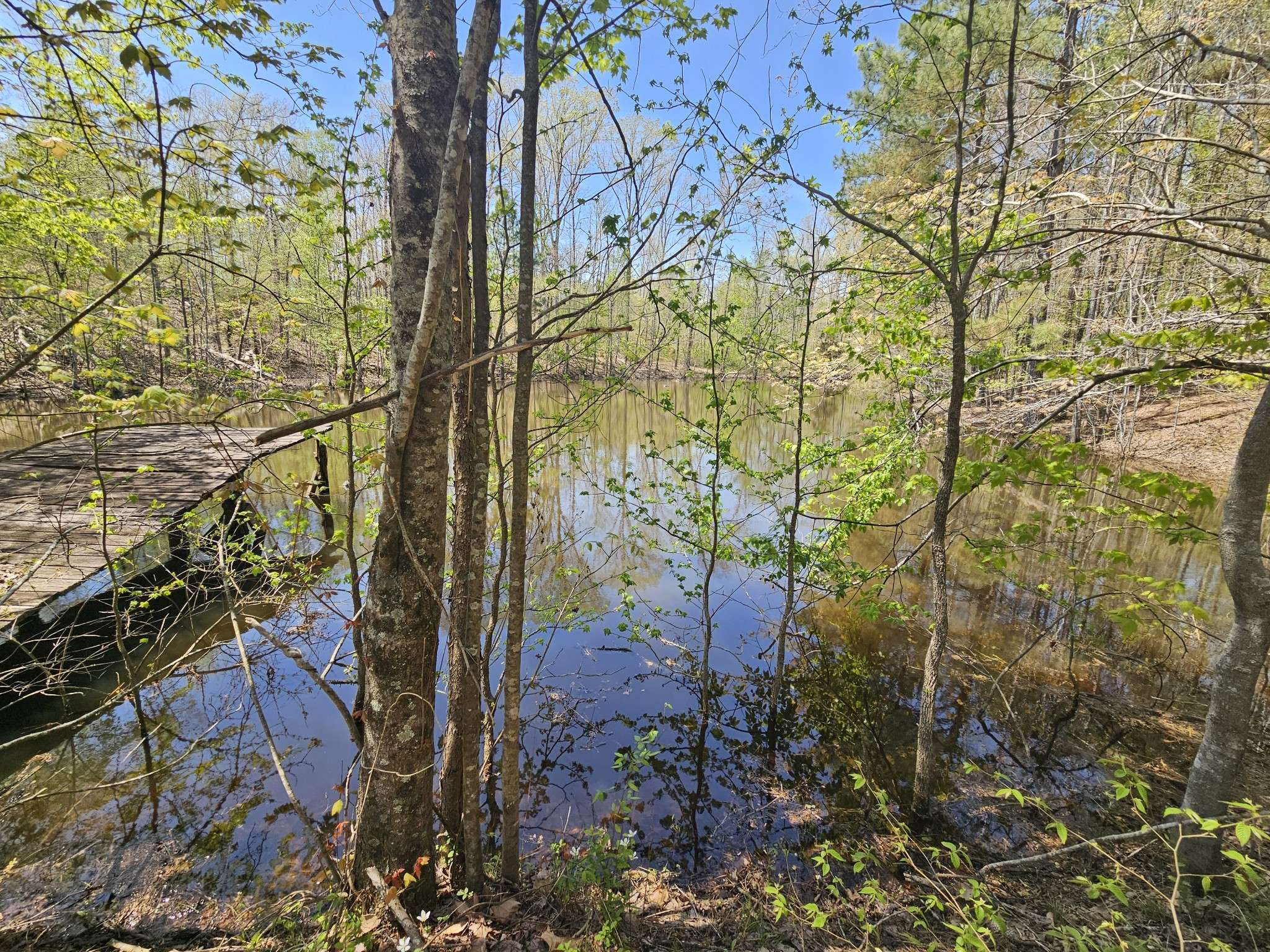 Parsons, TN 38363,5005 Bunches Chapel Rd
