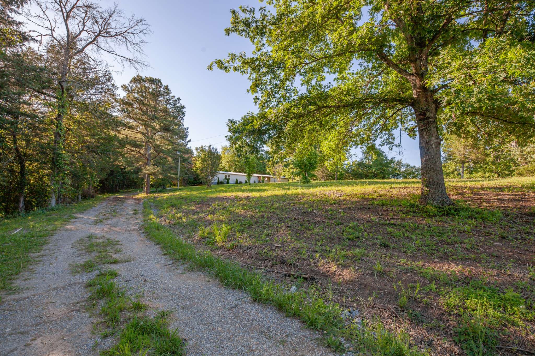 Petersburg, TN 37144,304 Fuss Hollow Rd