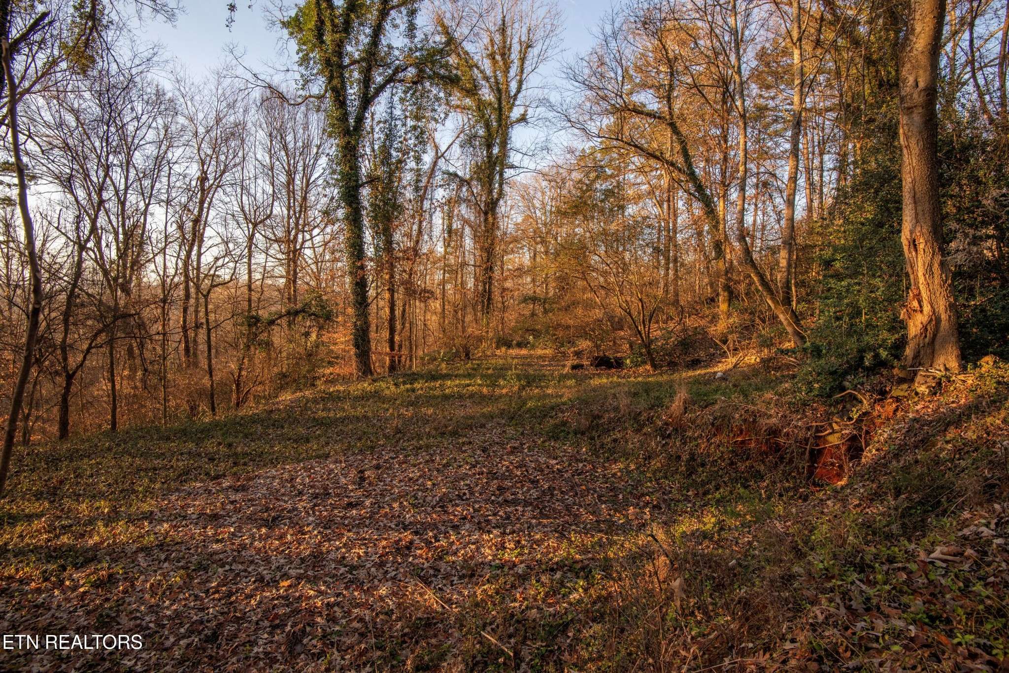 Knoxville, TN 37919,1445 SW Whitower Drive